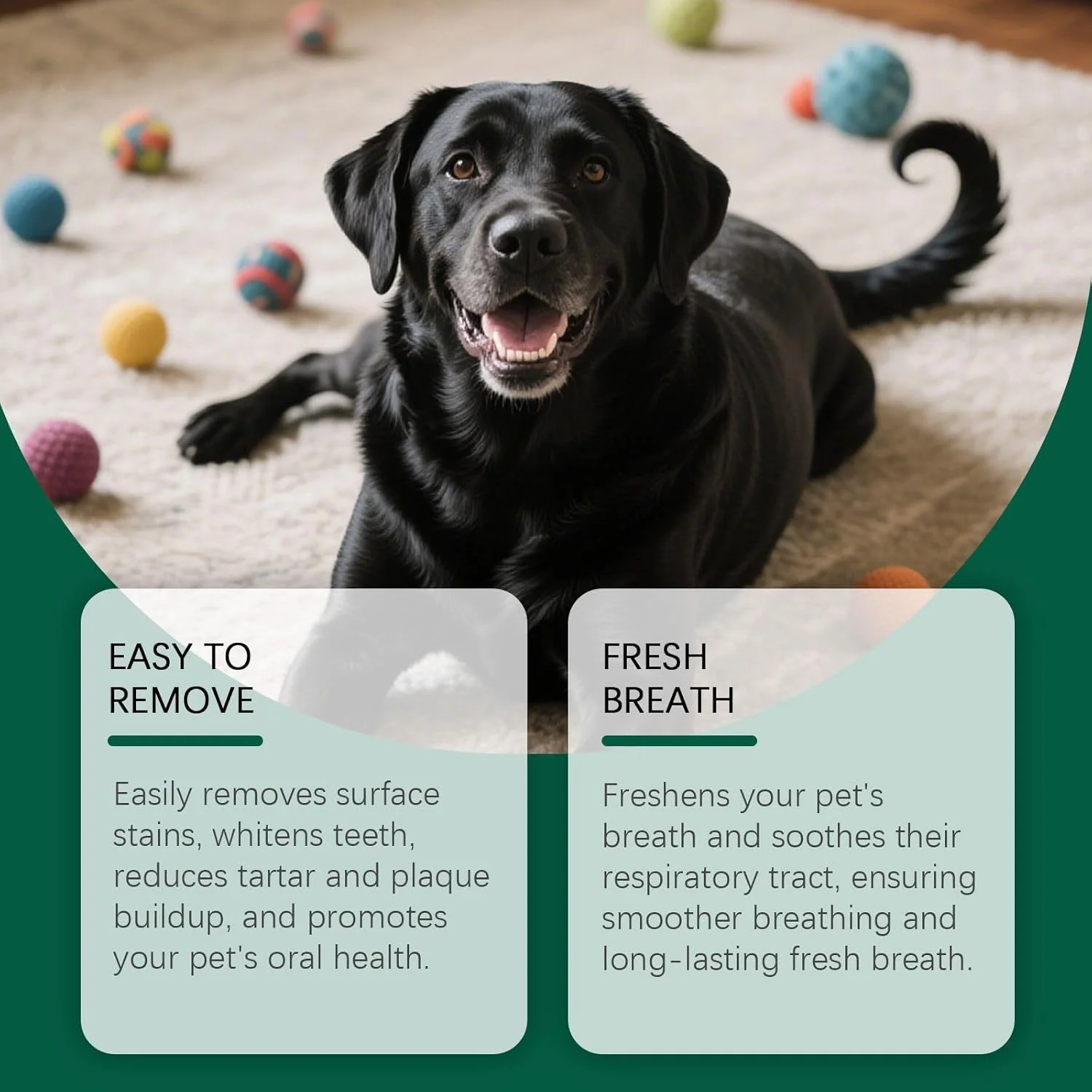 دستمال مرطوب انگشتی تمیز کننده دندان حیوانات خانگی برای سگ | 50 عدد مسواک انگشتی گربه، از بین برنده بوی بد دهان برای لوازم جانبی شستشوی پنجه، بهداشت دهان و دندان توله سگ، مناسب منزل، فضای باز و حمام دستمال مرطوب انگشتی تمیز کننده دندان حیوانات خانگی برای سگ | 50 عدد مسواک انگشتی گربه، از بین برنده بوی بد دهان برای لوازم جانبی شستشوی پنجه، بهداشت دهان و دندان توله سگ، مناسب منزل، فضای باز و حمام