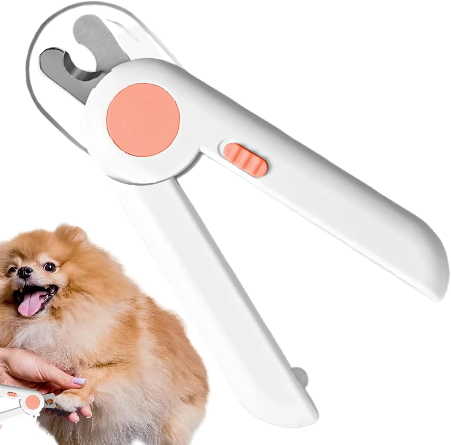 ناخن گیر سگ | ناخن گیر پنجه گربه برای پیرایش، ابزار نظافت حیوانات خانگی برای استفاده در خانه برای حیوانات کوچک، بچه گربه ها، خرگوش ها، پرندگان