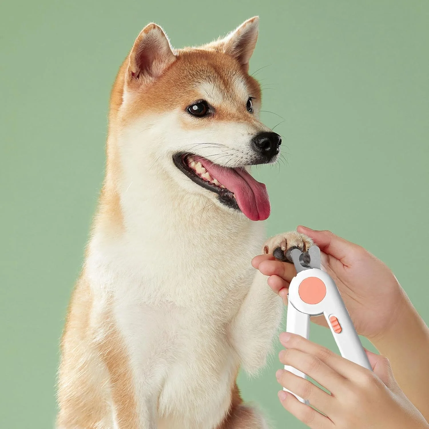 ناخن گیر سگ | ناخن گیر پنجه گربه برای پیرایش، ابزار نظافت حیوانات خانگی برای استفاده در خانه برای حیوانات کوچک، بچه گربه ها، خرگوش ها، پرندگان