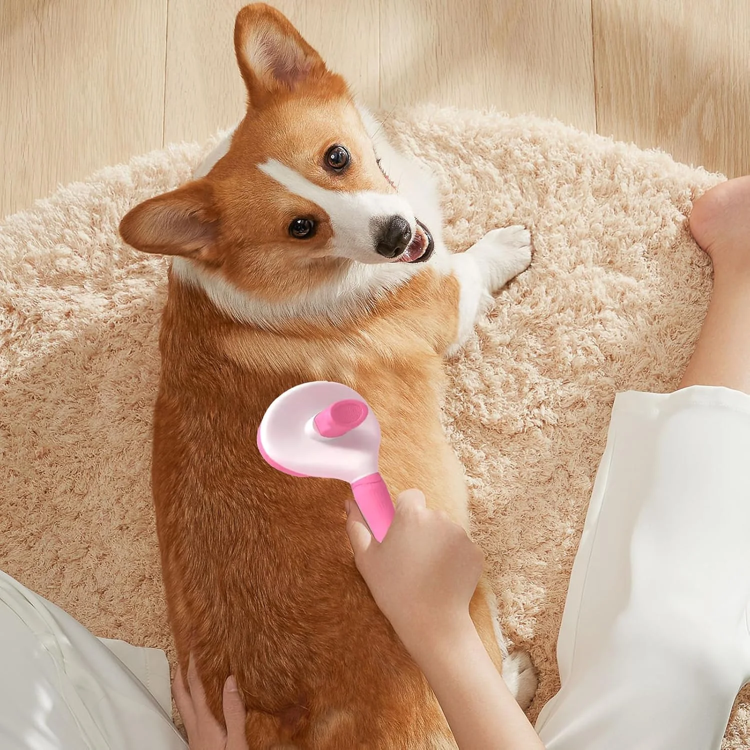 ست نظافت حیوانات خانگی - شانه حرفه ای بچه گربه - برس موی گربه به همراه مسواک انگشتی، مناسب برای خرگوش، بچه گربه، توله سگ، زدودن موهای زائد، تمیز کردن، حمام و دوش