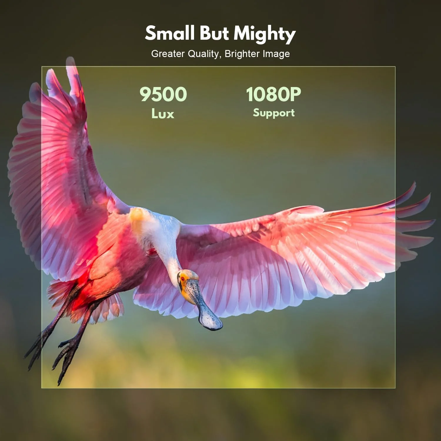 پروژکتور وای فای KEEPWISE با پرده نمایش 100 اینچی، پروژکتور 9000 لومن برای فیلم های فضای باز، پروژکتور مینی قابل حمل با پشتیبانی از کیفیت 1080P Full HD سازگار با گوشی های هوشمند، تی وی استیک، HDMI، USB، AV، AUX پروژکتور وای فای KEEPWISE با پرده نمایش 100 اینچی، پروژکتور 9000 لومن برای فیلم های فضای باز، پروژکتور مینی قابل حمل با پشتیبانی از کیفیت 1080P Full HD سازگار با گوشی های هوشمند، تی وی استیک، HDMI، USB، AV، AUX