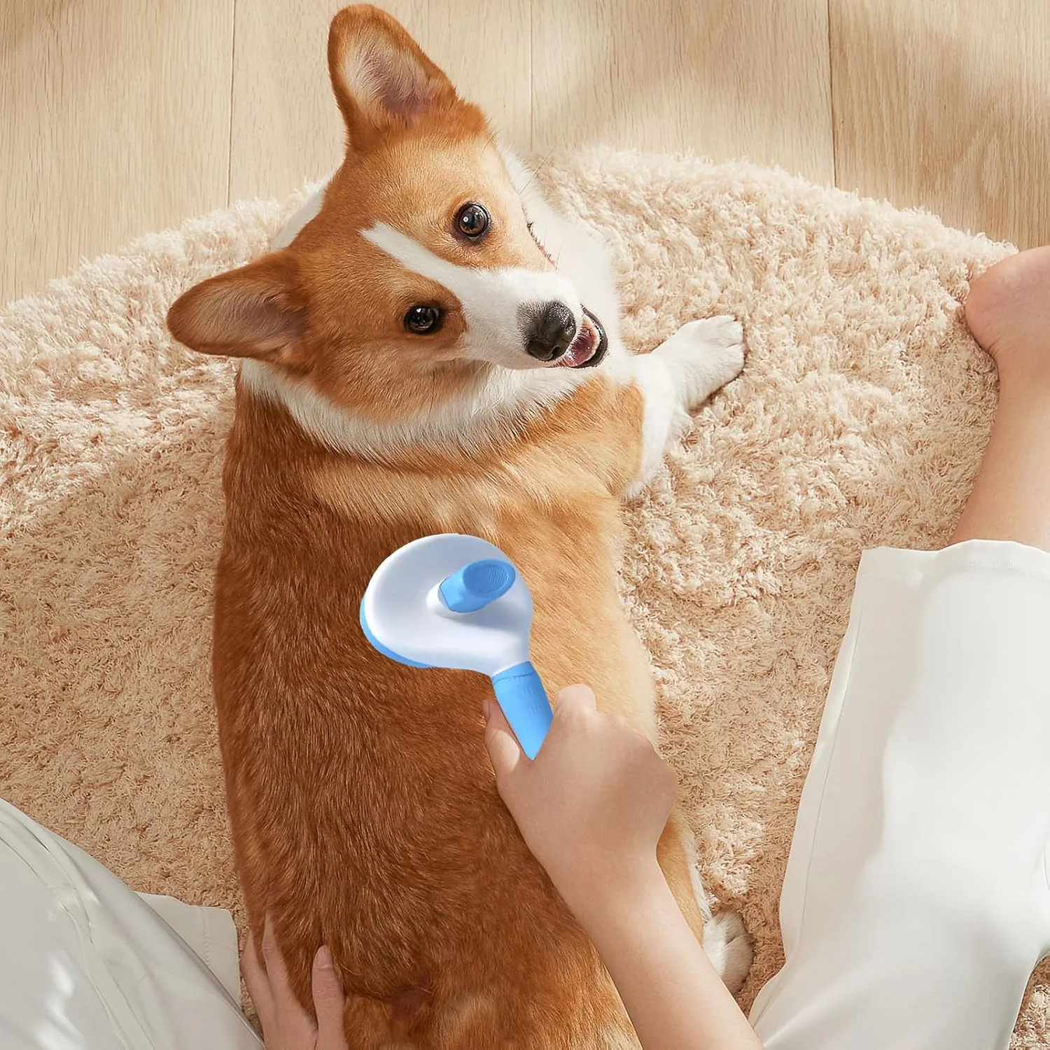 لوازم نظافت گربه، ابزار نظافت بچه گربه، برس موی گربه به همراه مسواک انگشتی - برای تمیز کردن، حمام و شستشوی حیوانات خانگی، خرگوش، بچه گربه و سگ