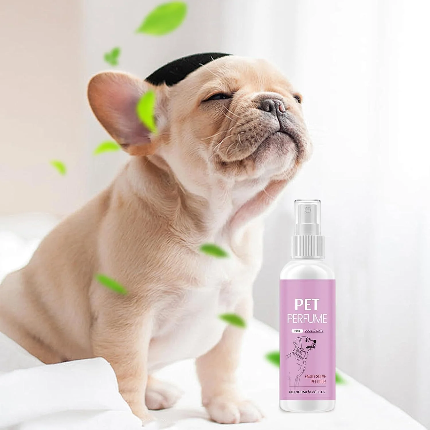 از بین برنده بوی حیوانات خانگی برای بوی قوی، از بین برنده ادرار حیوانات خانگی 100 میلی لیتر | اسپری قابل حمل پاک کننده طبیعی با رایحه ماندگار برای پارچه، فرش، خانه، ماشین، مبلمان، کمد، حمام، کف از بین برنده بوی حیوانات خانگی برای بوی قوی، از بین برنده ادرار حیوانات خانگی 100 میلی لیتر | اسپری قابل حمل پاک کننده طبیعی با رایحه ماندگار برای پارچه، فرش، خانه، ماشین، مبلمان، کمد، حمام، کف