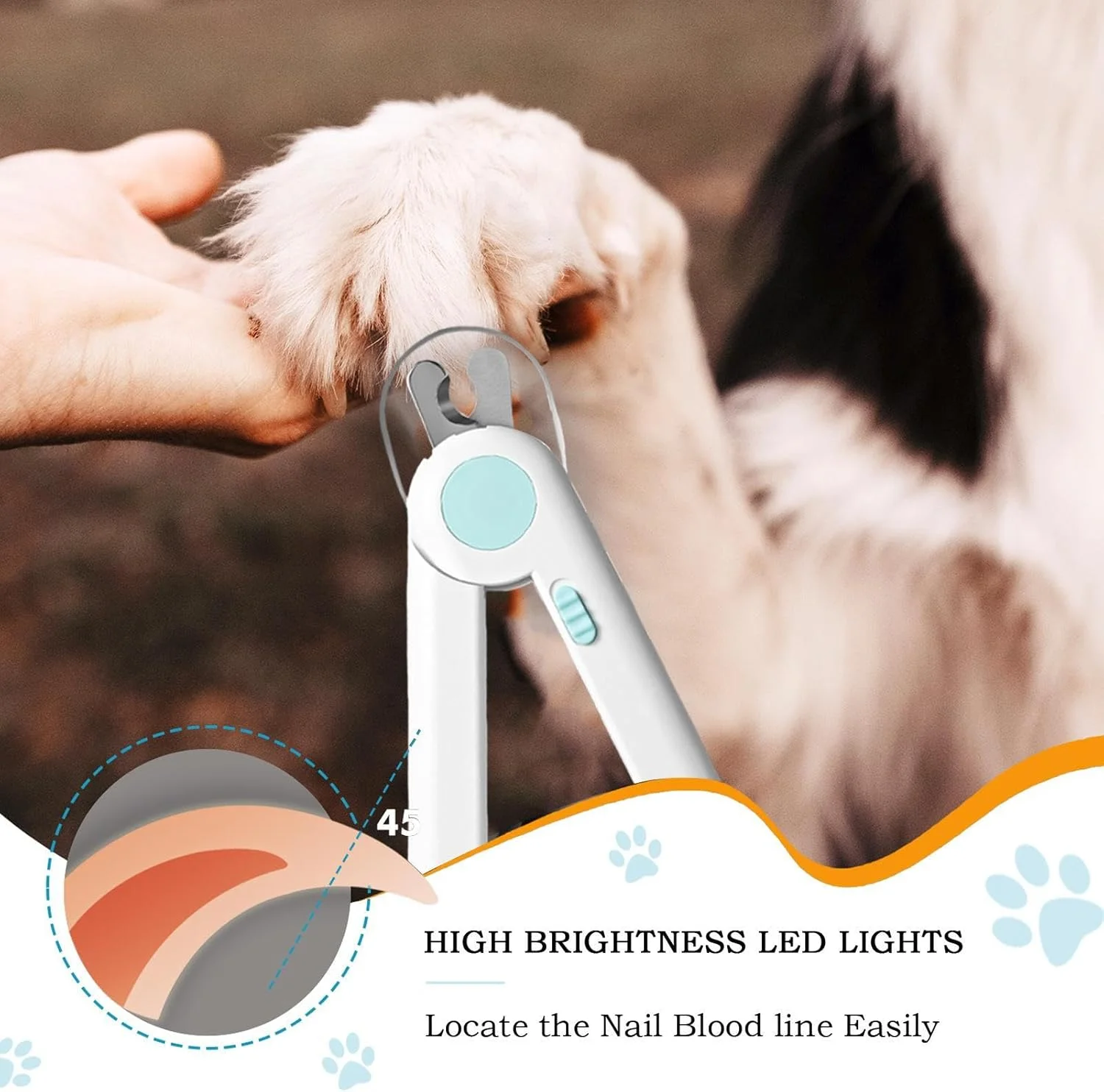 ناخن گیر گربه، ناخن گیر سگ برای آراستگی، ابزار صاف کننده پنجه حیوانات خانگی برای حیوانات کوچک، پرندگان، بچه گربه ها، استفاده در منزل ناخن گیر گربه، ناخن گیر سگ برای آراستگی، ابزار صاف کننده پنجه حیوانات خانگی برای حیوانات کوچک، پرندگان، بچه گربه ها، استفاده در منزل