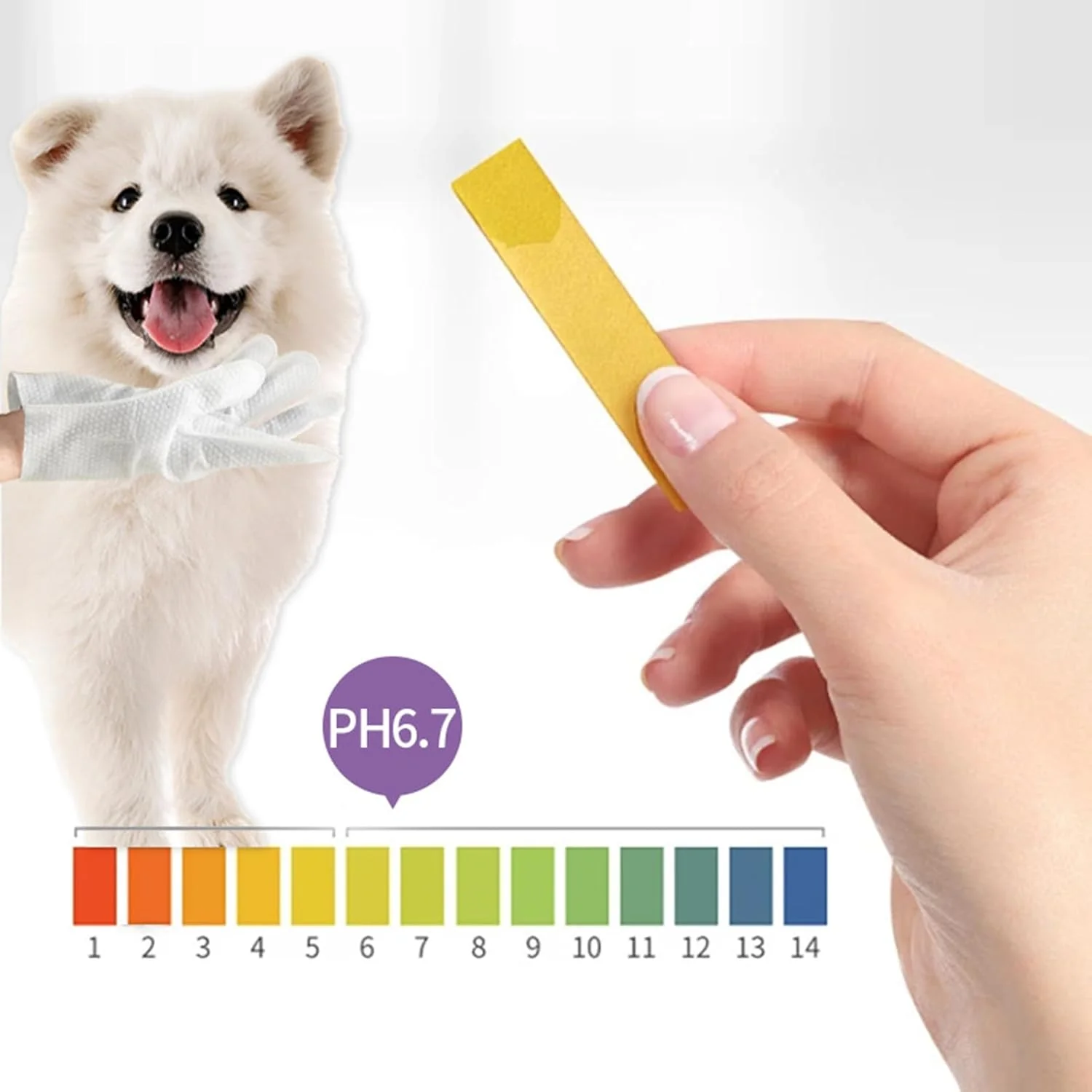 دستکش های تمیز کننده سگ - دستمال مرطوب خشک و خوشبو کننده حیوانات خانگی - دستکش تمیز کننده ملایم بدون نیاز به آبکشی برای سگ ها، گربه ها، خرگوش ها، توله سگ ها، بچه گربه ها، حیوانات مسن، خانه، کمپینگ، مسافرت در فضای باز، ماشین