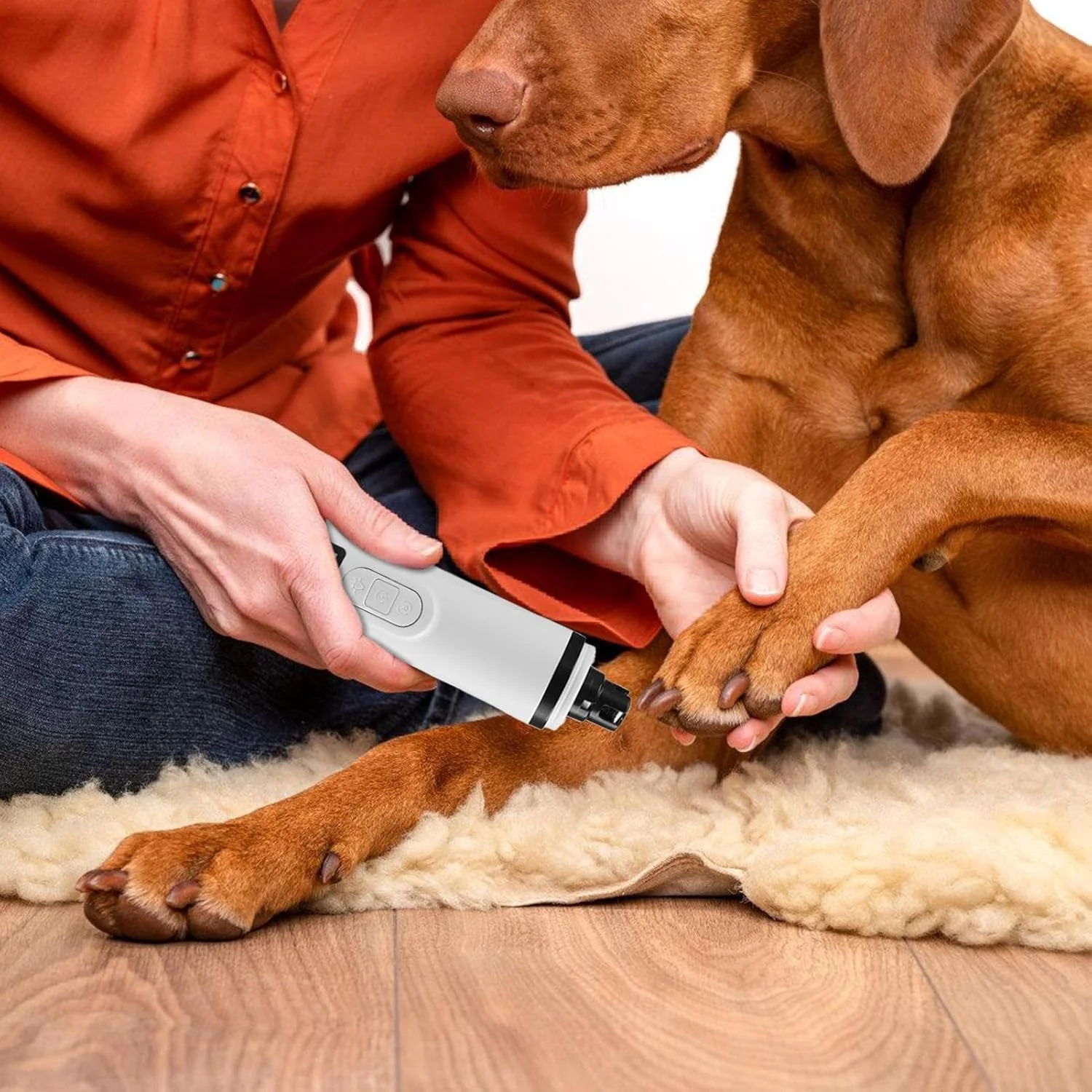 سوهان ناخن سگ برای اصلاح و آراستگی | ماشین اصلاح برقی بی صدا، 2 سرعت قابل تنظیم، مناسب برای پیرایش ناخن توله سگ - برای مراقبت در منزل و مسافرت، مناسب برای حیوانات کوچک سوهان ناخن سگ برای اصلاح و آراستگی | ماشین اصلاح برقی بی صدا، 2 سرعت قابل تنظیم، مناسب برای پیرایش ناخن توله سگ - برای مراقبت در منزل و مسافرت، مناسب برای حیوانات کوچک