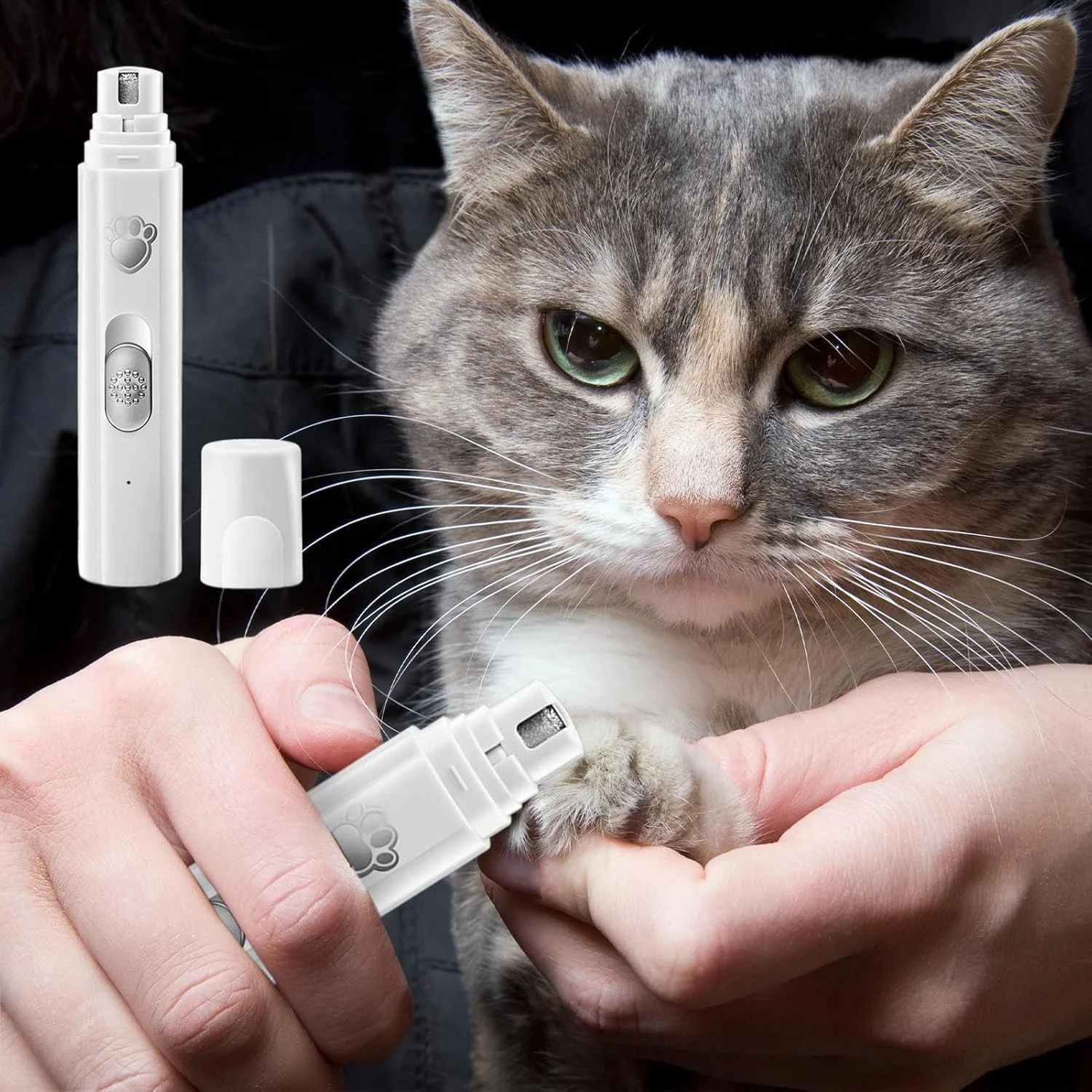 دستگاه سوهان ناخن برقی سگ، دستگاه سوهان ناخن قابل شارژ گربه | دستگاه سنگ زنی ناخن برقی 2 سرعته حیوانات خانگی با باتری 500 میلی آمپر ساعتی برای بچه گربه، توله سگ کوچک، بزرگ و متوسط دستگاه سوهان ناخن برقی سگ، دستگاه سوهان ناخن قابل شارژ گربه | دستگاه سنگ زنی ناخن برقی 2 سرعته حیوانات خانگی با باتری 500 میلی آمپر ساعتی برای بچه گربه، توله سگ کوچک، بزرگ و متوسط