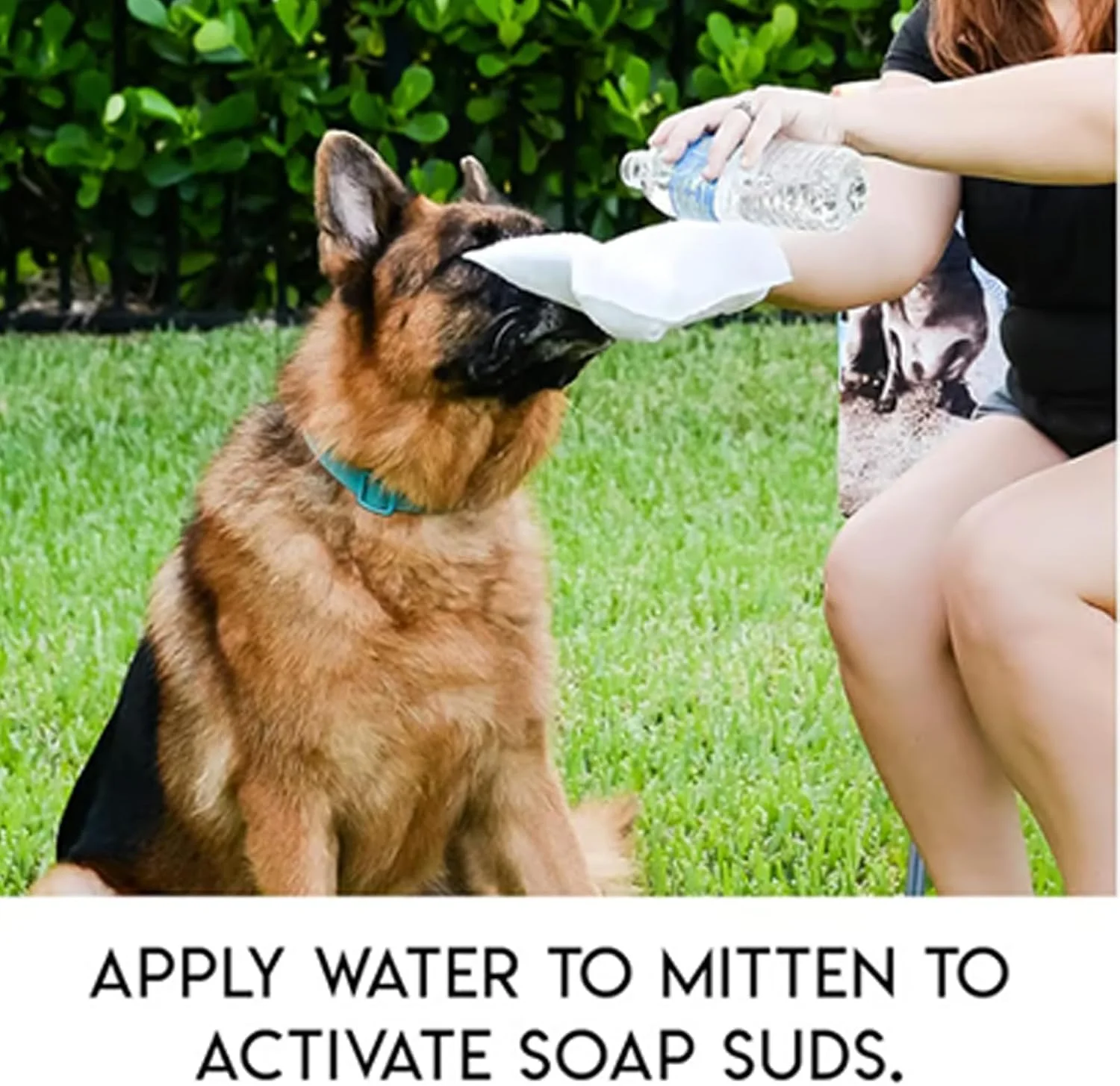 دستکش های تمیز کننده سگ، دستکش های شستشوی ضد بوی سگ 3 عددی، دستکش های نظافت و از بین برنده موی حیوانات خانگی برای تمیز کردن، نگهداری، حمام کردن توله سگ، بچه گربه، مسافرت روزانه دستکش های تمیز کننده سگ، دستکش های شستشوی ضد بوی سگ 3 عددی، دستکش های نظافت و از بین برنده موی حیوانات خانگی برای تمیز کردن، نگهداری، حمام کردن توله سگ، بچه گربه، مسافرت روزانه