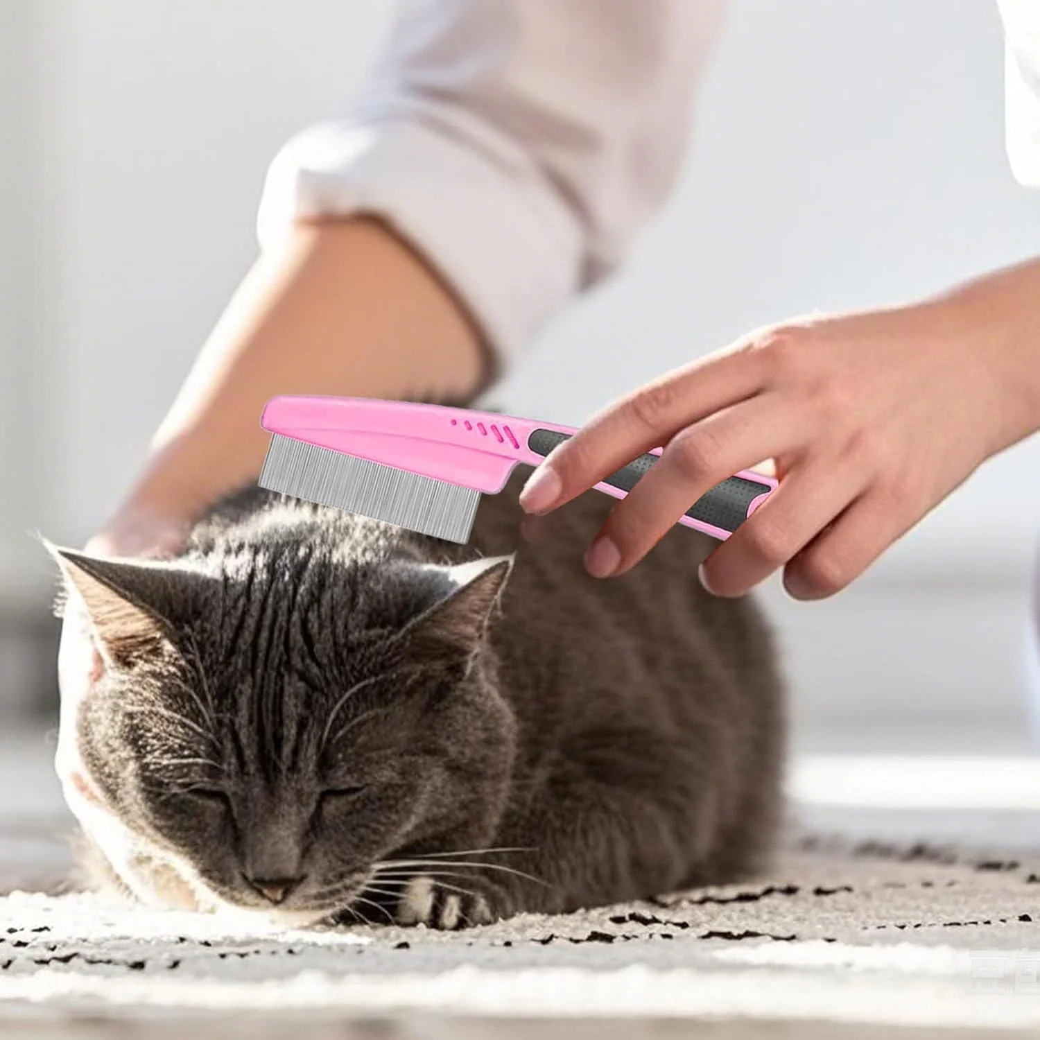 ست نظافت گربه، ابزار نظافت حرفه ای - برس موی گربه به همراه مسواک انگشتی | برای خرگوش، بچه گربه، توله سگ، از بین بردن موهای ریخته شده، تمیز کردن، حمام و دوش ست نظافت گربه، ابزار نظافت حرفه ای - برس موی گربه به همراه مسواک انگشتی | برای خرگوش، بچه گربه، توله سگ، از بین بردن موهای ریخته شده، تمیز کردن، حمام و دوش