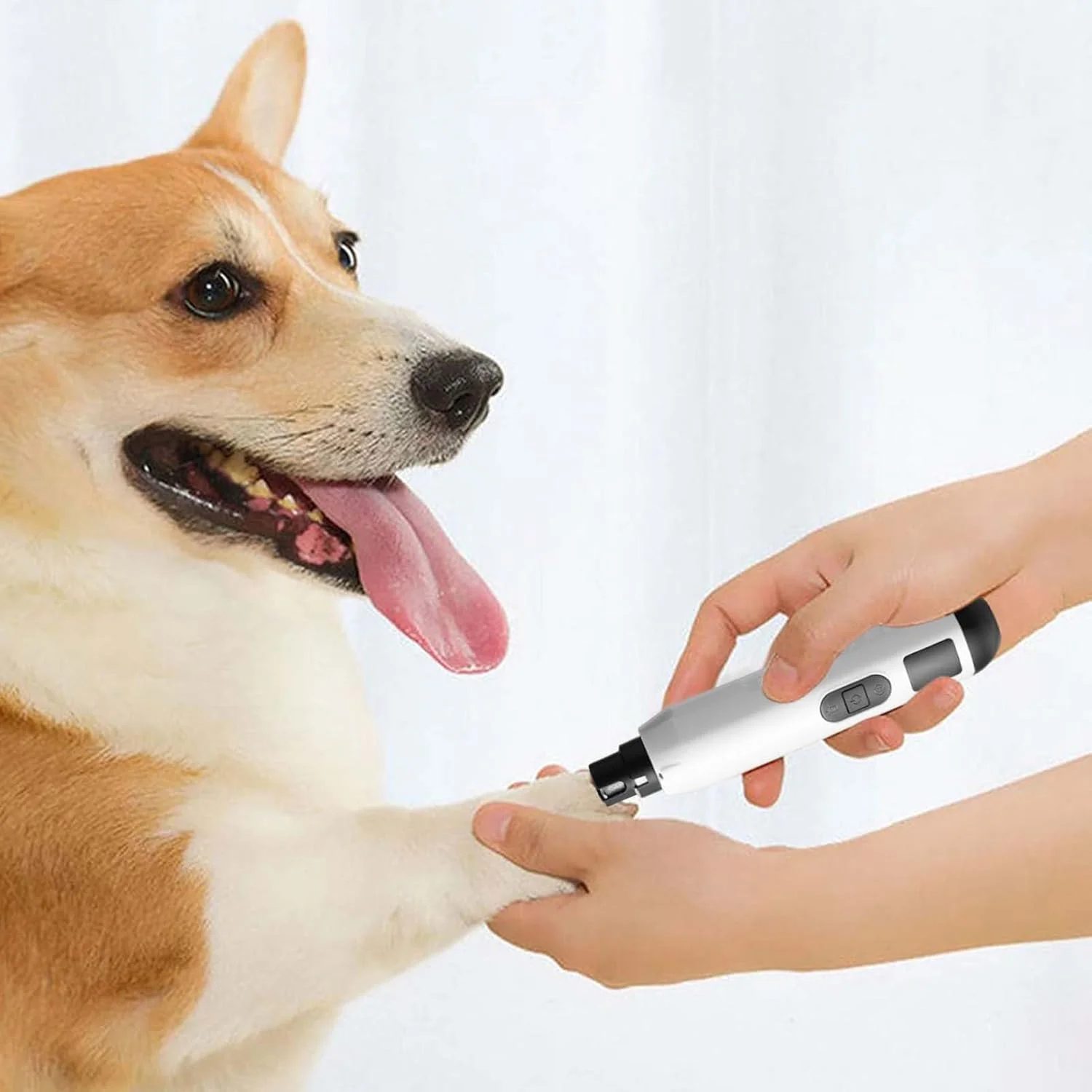 سوهان ناخن سگ بی صدا | ناخن گیر گربه | ابزار برقی سوهان 5 سرعته بی صدا قابل شارژ USB برای مراقبت از ناخن پنجه سگ گربه بچه گربه سوهان ناخن سگ بی صدا | ناخن گیر گربه | ابزار برقی سوهان 5 سرعته بی صدا قابل شارژ USB برای مراقبت از ناخن پنجه سگ گربه بچه گربه