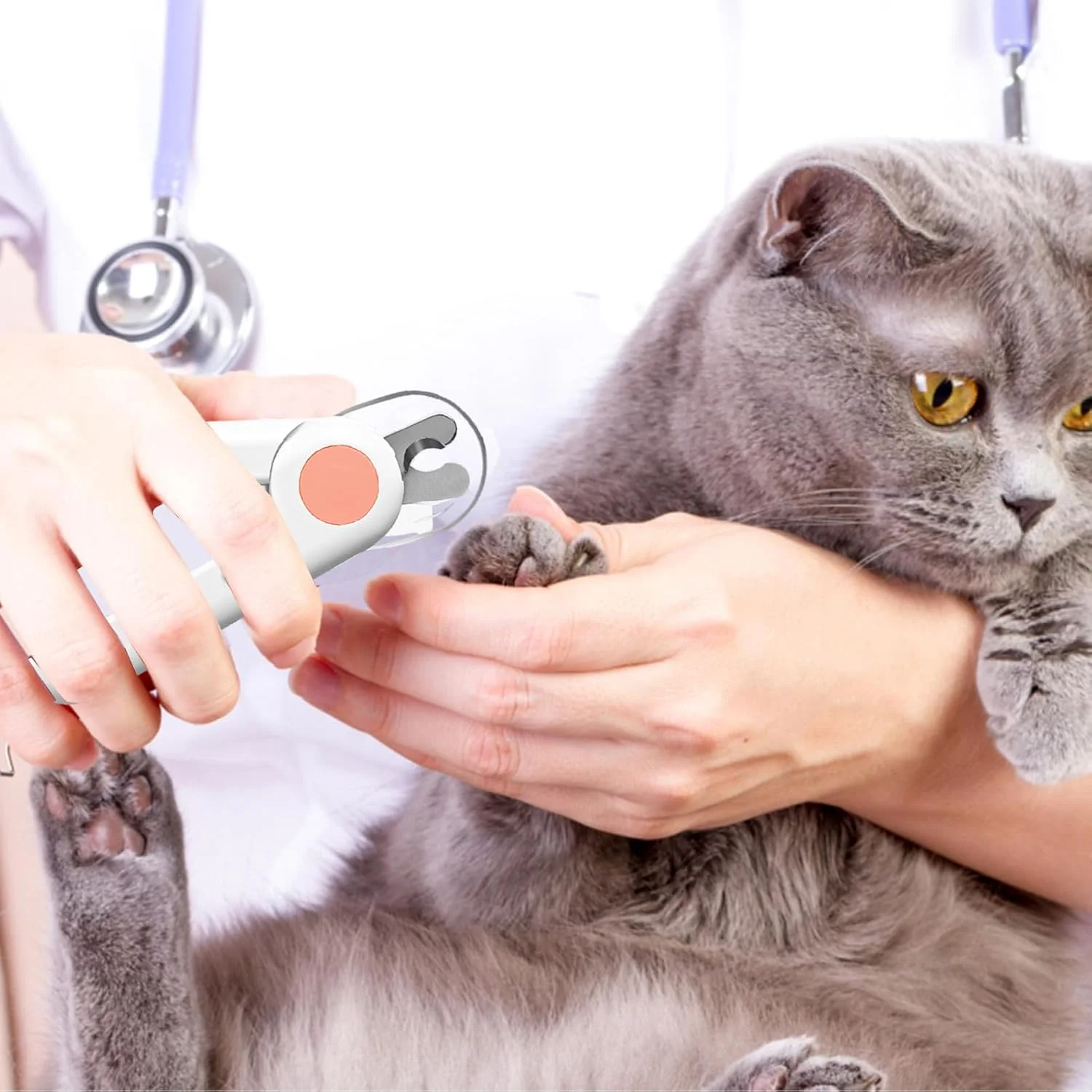 ناخن گیر گربه - قیچی ناخن پنجه گربه برای اصلاح - ابزار صاف کننده پنجه حیوانات خانگی برای حیوانات کوچک، پرندگان، بچه گربه ها، استفاده در منزل ناخن گیر گربه - قیچی ناخن پنجه گربه برای اصلاح - ابزار صاف کننده پنجه حیوانات خانگی برای حیوانات کوچک، پرندگان، بچه گربه ها، استفاده در منزل