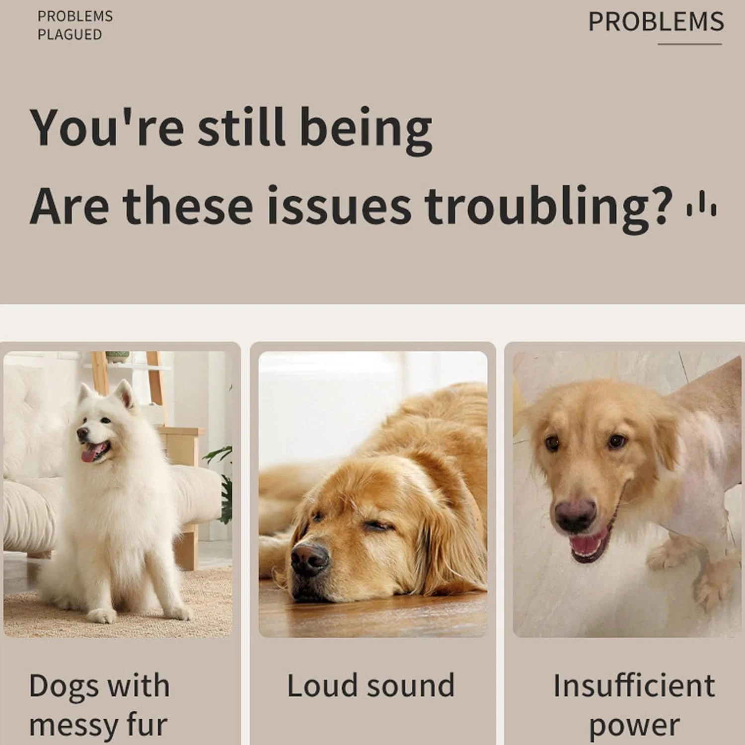 ست پیرایش حیوانات خانگی Luqeeg 4 در 1، ماشین اصلاح ضد آب سگ با صدای کم، موزن موی سگ قابل شارژ USB، سوهان ناخن گربه، ابزار حذف موی حیوانات خانگی برای شکم، گوش ها، پیرایش دقیق (سفید) ست پیرایش حیوانات خانگی Luqeeg 4 در 1، ماشین اصلاح ضد آب سگ با صدای کم، موزن موی سگ قابل شارژ USB، سوهان ناخن گربه، ابزار حذف موی حیوانات خانگی برای شکم، گوش ها، پیرایش دقیق (سفید)