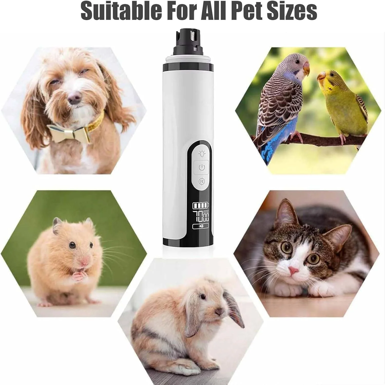 سوهان ناخن سگ بی صدا با 3 سرعت، ابزار اصلاح و صاف کردن پنجه حیوانات خانگی بدون درد - ابزار اصلاح ناخن سگ با چراغ LED برای پدیکور و مانیکور در خانه برای توله سگ، بچه گربه و گربه سوهان ناخن سگ بی صدا با 3 سرعت، ابزار اصلاح و صاف کردن پنجه حیوانات خانگی بدون درد - ابزار اصلاح ناخن سگ با چراغ LED برای پدیکور و مانیکور در خانه برای توله سگ، بچه گربه و گربه