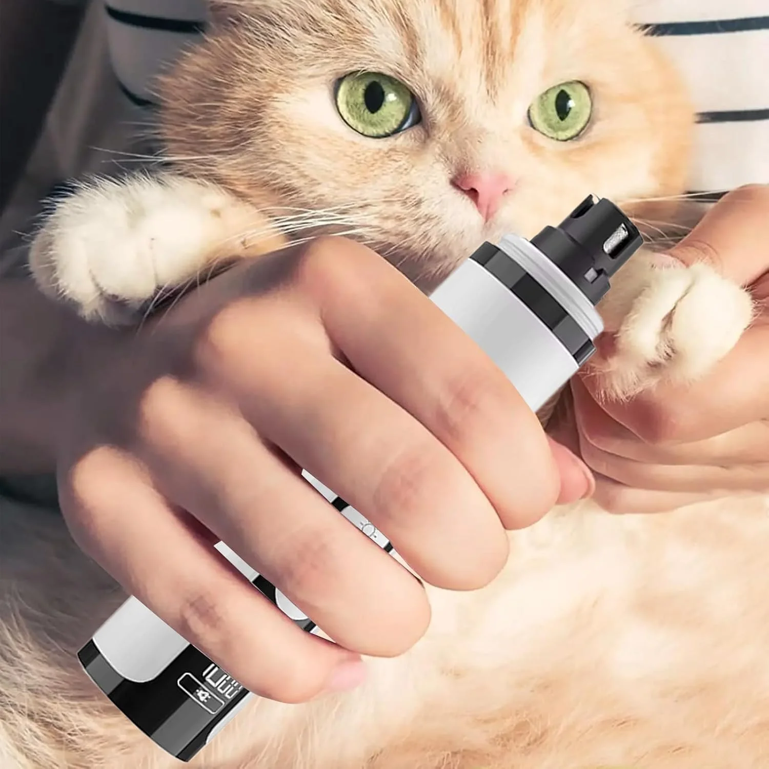 سوهان ناخن حیوانات خانگی برای سگ ها 3 سرعته | سوهان ناخن برقی بی صدا و کم لرزش - ابزار اصلاح ناخن سگ با چراغ LED برای پدیکور و مانیکور ناخن توله سگ، بچه گربه و گربه در خانه