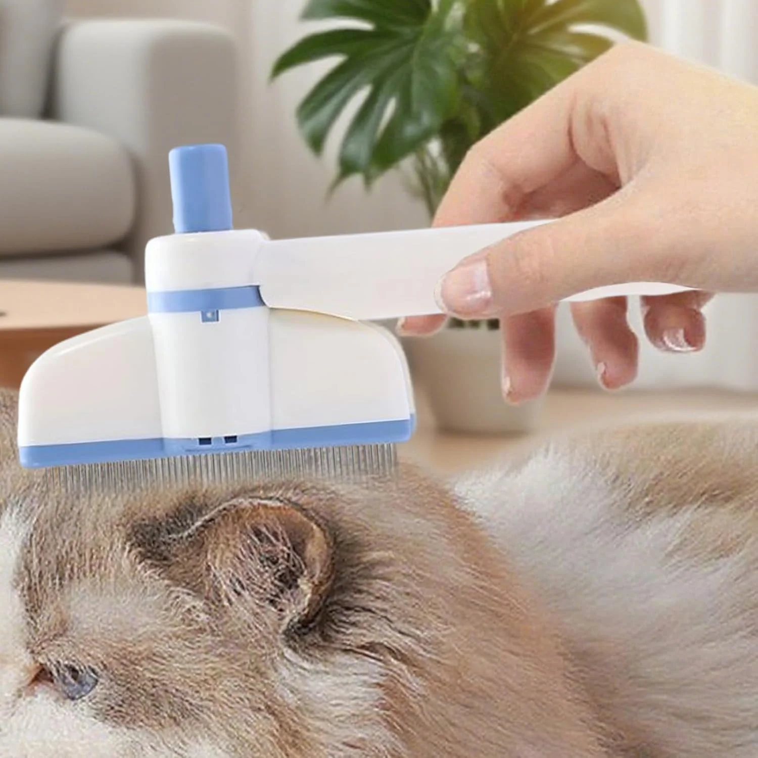 شانه سگ | شانه چرخشی برای سگ ها، برس دندانه ریز، ابزار حذف موی حیوانات خانگی برای روتین برس زدن روزانه، مراقبت از خرگوش در داخل خانه، کلینیک دامپزشکی توله سگ، بچه گربه شانه سگ | شانه چرخشی برای سگ ها، برس دندانه ریز، ابزار حذف موی حیوانات خانگی برای روتین برس زدن روزانه، مراقبت از خرگوش در داخل خانه، کلینیک دامپزشکی توله سگ، بچه گربه