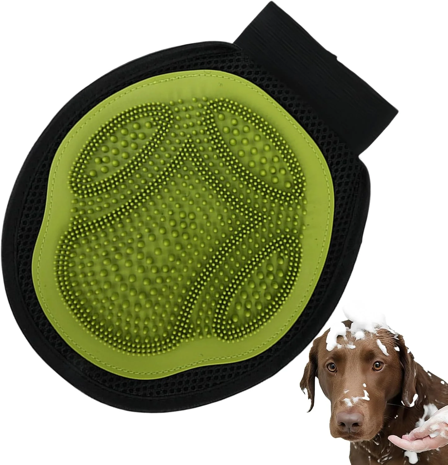 برس شستشوی سگ برای حمام، دستکش نظافت توله سگ، برس تمیز کننده گربه برای خانه، آپارتمان داخلی، فضای باز، حمام، توله سگ ها، بچه گربه ها، استخر شنا، آرایشگرها برس شستشوی سگ برای حمام، دستکش نظافت توله سگ، برس تمیز کننده گربه برای خانه، آپارتمان داخلی، فضای باز، حمام، توله سگ ها، بچه گربه ها، استخر شنا، آرایشگرها