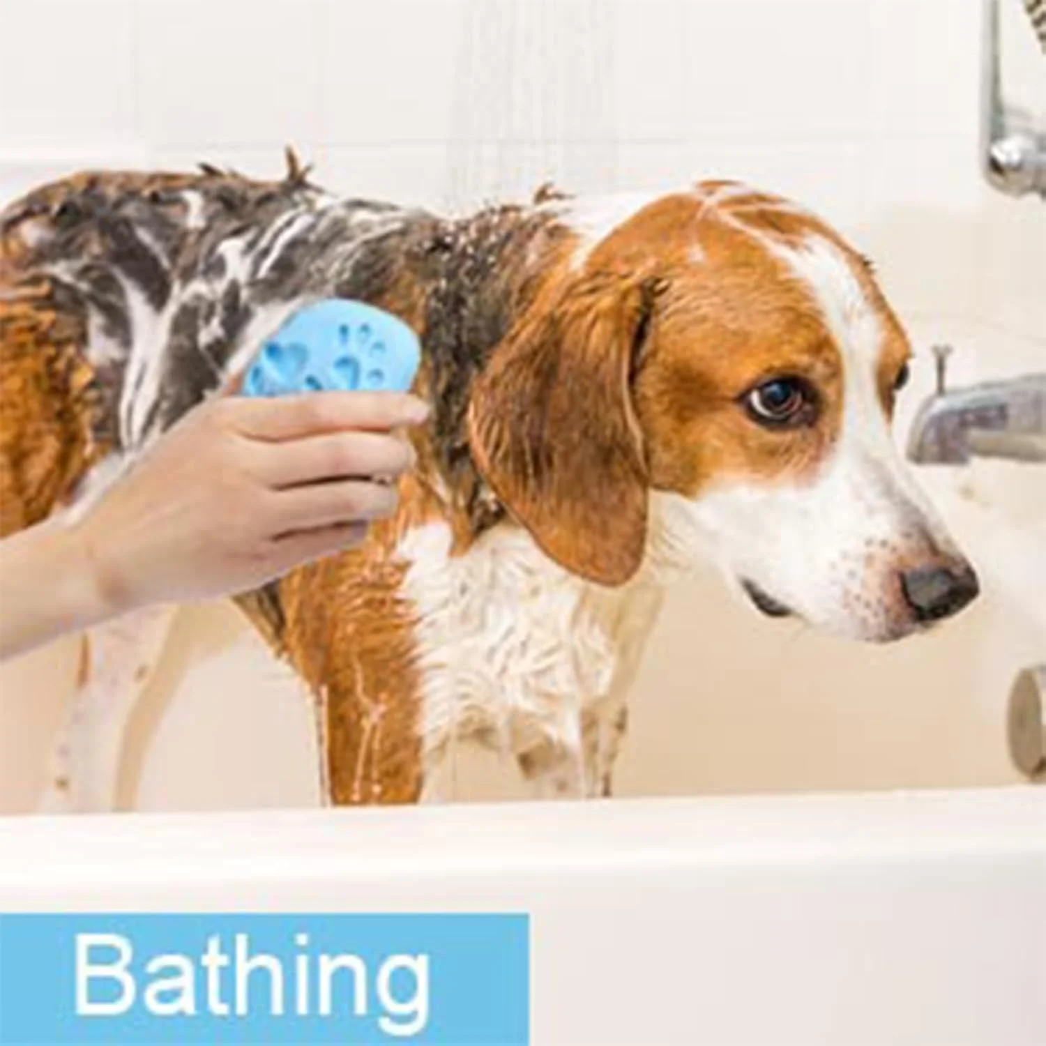 برس حمام سگ، برس ماساژ حمام و نظافت حیوانات خانگی - شانه ارگونومیک پاک کننده سیلیکونی نرم برای مراقبت روزانه، نظافت خانگی، شستشوی مسافرتی، حمام آرامش بخش در فضای باز برس حمام سگ، برس ماساژ حمام و نظافت حیوانات خانگی - شانه ارگونومیک پاک کننده سیلیکونی نرم برای مراقبت روزانه، نظافت خانگی، شستشوی مسافرتی، حمام آرامش بخش در فضای باز