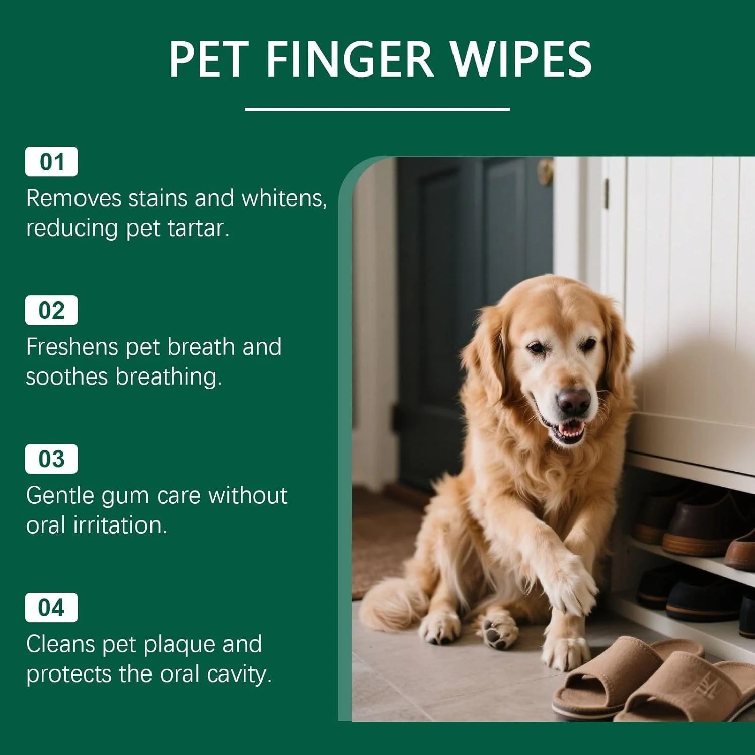دستمال مرطوب تمیز کننده دندان سگ - 50 عدد دستمال مرطوب تمیز کننده سگ | از بین برنده بوی بد دهان برای لوازم شستشوی پنجه، بهداشت، بچه گربه، خانه، داخل و خارج از منزل، حمام دامپزشکی دستمال مرطوب تمیز کننده دندان سگ - 50 عدد دستمال مرطوب تمیز کننده سگ | از بین برنده بوی بد دهان برای لوازم شستشوی پنجه، بهداشت، بچه گربه، خانه، داخل و خارج از منزل، حمام دامپزشکی