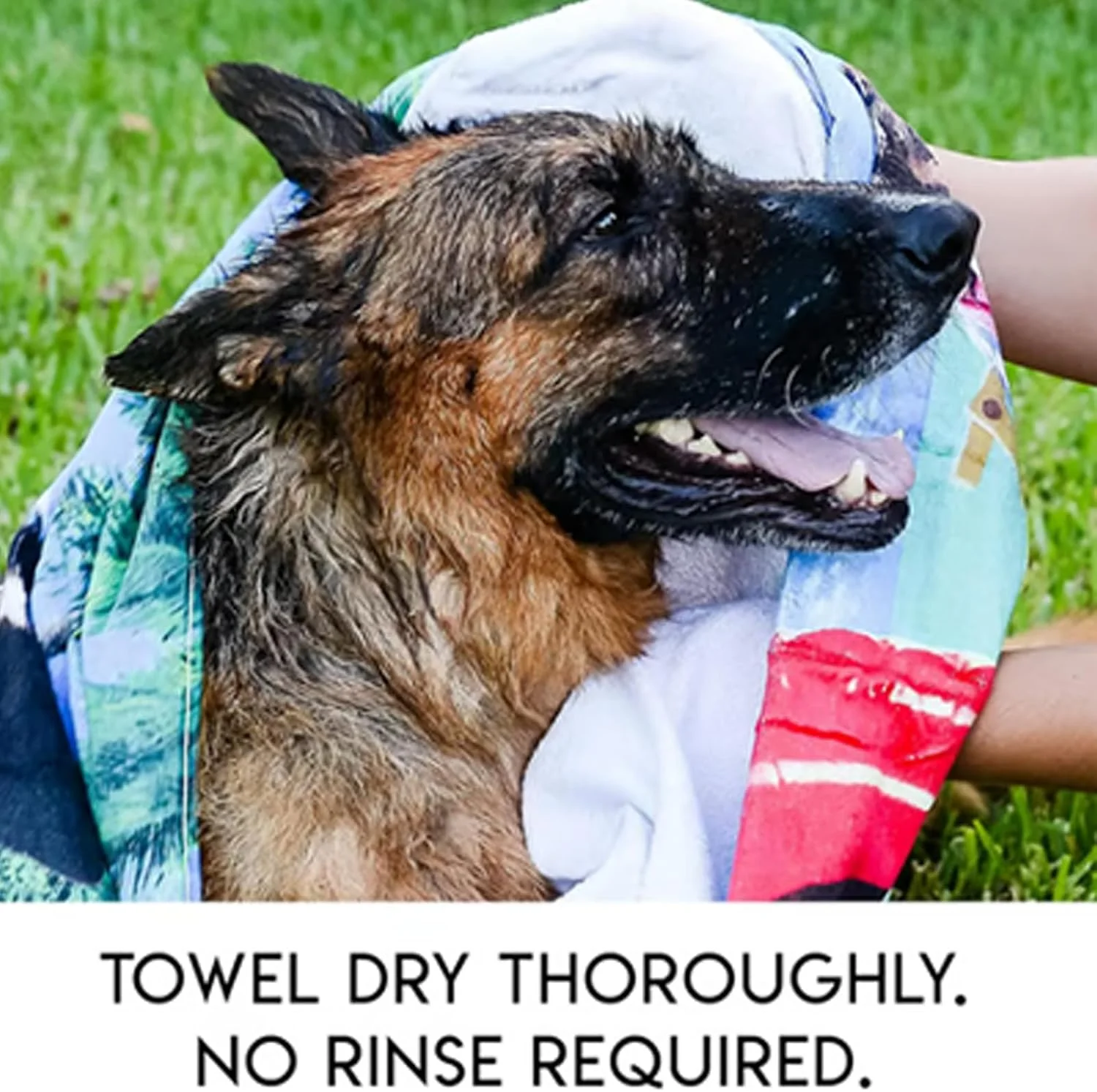 دستکش های تمیز کننده گربه | دستکش های شستشوی ضد بوی سگ 3 عددی - دستکش های تمیز کننده قابل حمل لوازم حیوانات خانگی برای نگهداری روزانه موی بدن صورت چشم پنجه گوش حمام بچه گربه