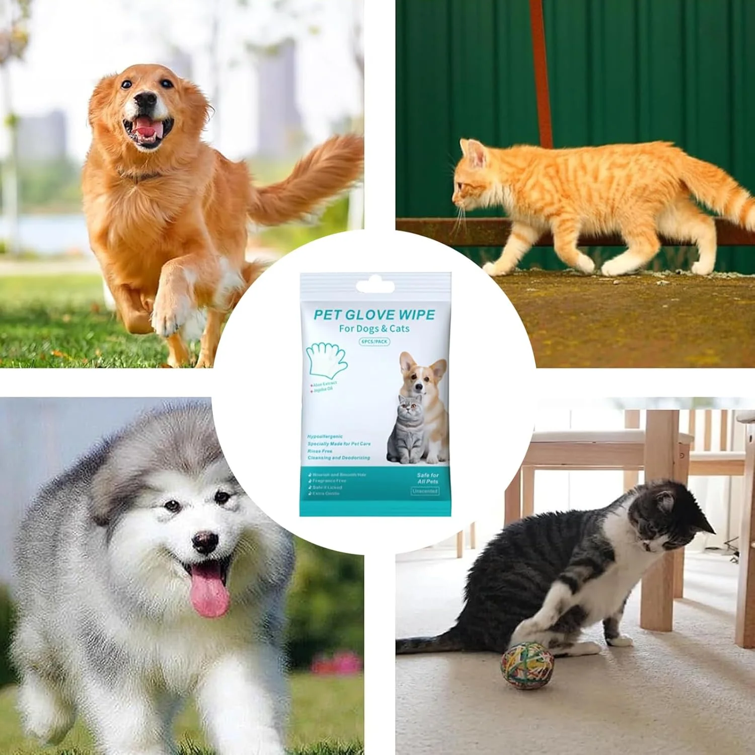 Pet Glove Wipes for Dogs | 3-Piece Dog Deodorizing Wipes Washing Gloves - Portable Cleaning Mittens Pet Supplies for Daily Maintenance Body Hair Face Eye Paw Ear Kitten Bathing Pet Glove Wipes for Dogs | 3-Piece Dog Deodorizing Wipes Washing Gloves - Portable Cleaning Mittens Pet Supplies for Daily Maintenance Body Hair Face Eye Paw Ear Kitten Bathing