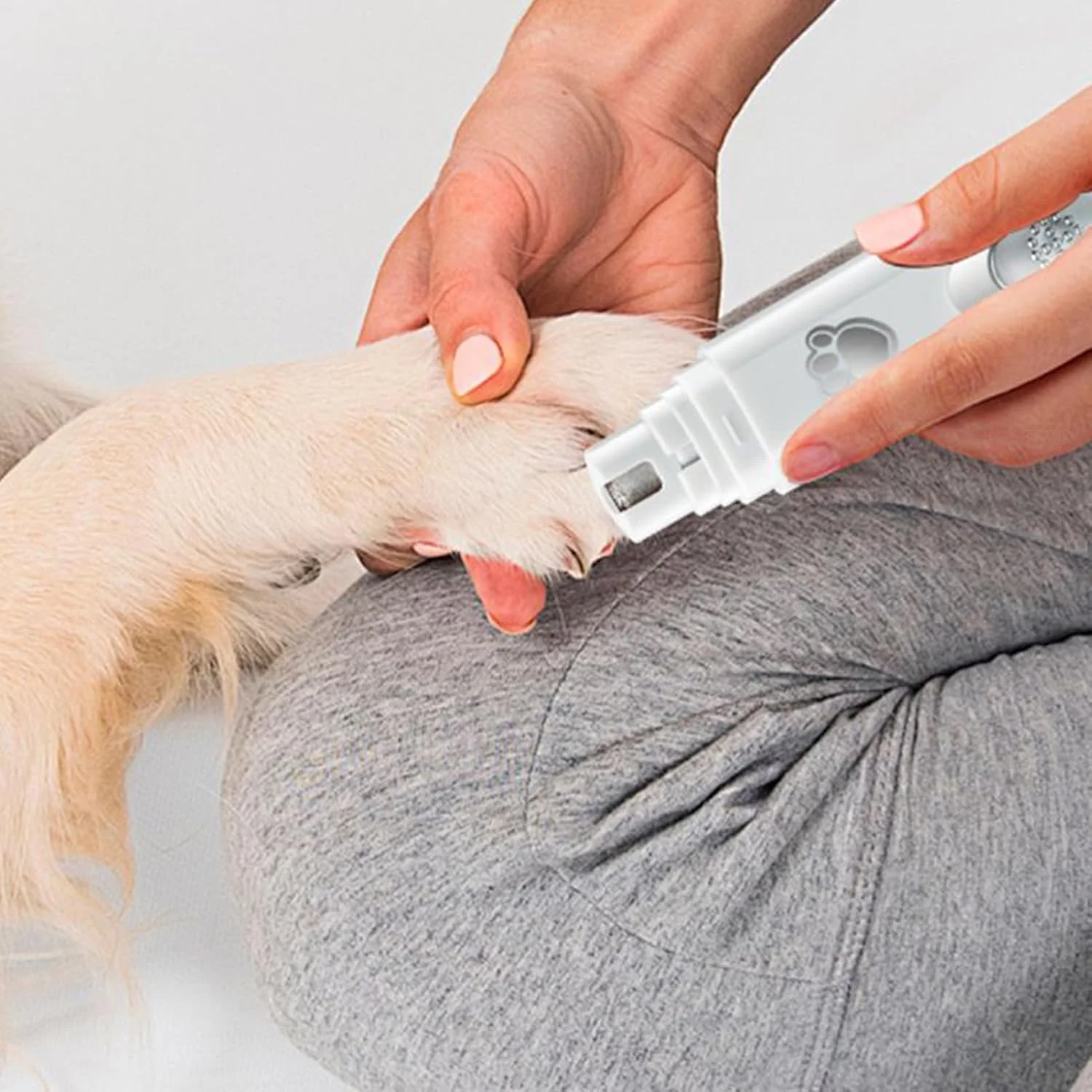 سوهان برقی ناخن سگ - دستگاه سوهان ناخن بی صدا برای توله سگ | ابزار برقی 2 سرعته برای اصلاح ناخن حیوانات خانگی با باتری 500 میلی آمپر ساعتی برای بچه گربه، توله سگ، سگ های کوچک، بزرگ و متوسط سوهان برقی ناخن سگ - دستگاه سوهان ناخن بی صدا برای توله سگ | ابزار برقی 2 سرعته برای اصلاح ناخن حیوانات خانگی با باتری 500 میلی آمپر ساعتی برای بچه گربه، توله سگ، سگ های کوچک، بزرگ و متوسط