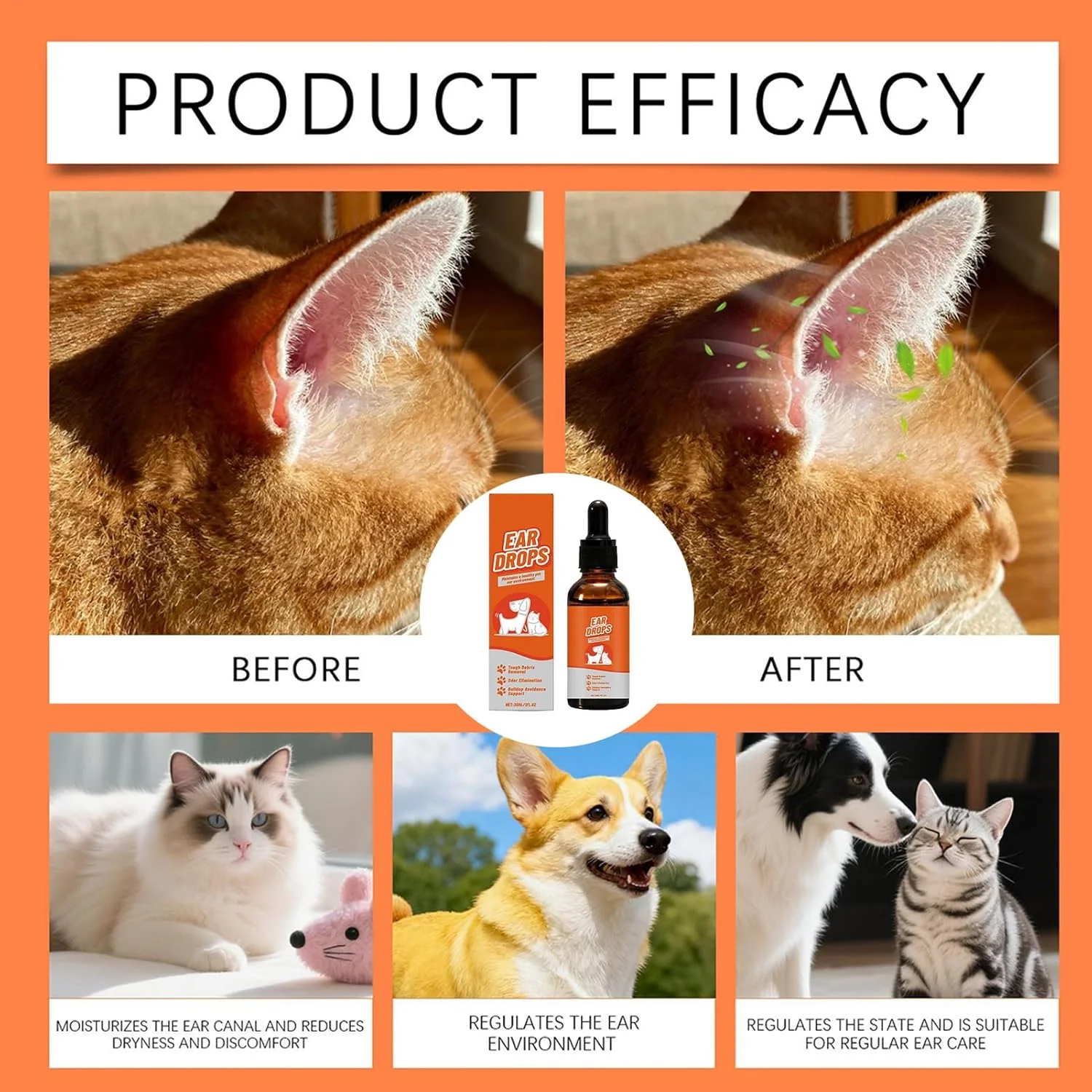 قطره گوش سگ | مایع طبیعی 30 میلی لیتری، پاک کننده گوش توله سگ | برای نظافت، بهداشت توله سگ، بچه گربه، پنجه، خانه، داخل و خارج از منزل، مسافرت، حمام، شستشو قطره گوش سگ | مایع طبیعی 30 میلی لیتری، پاک کننده گوش توله سگ | برای نظافت، بهداشت توله سگ، بچه گربه، پنجه، خانه، داخل و خارج از منزل، مسافرت، حمام، شستشو