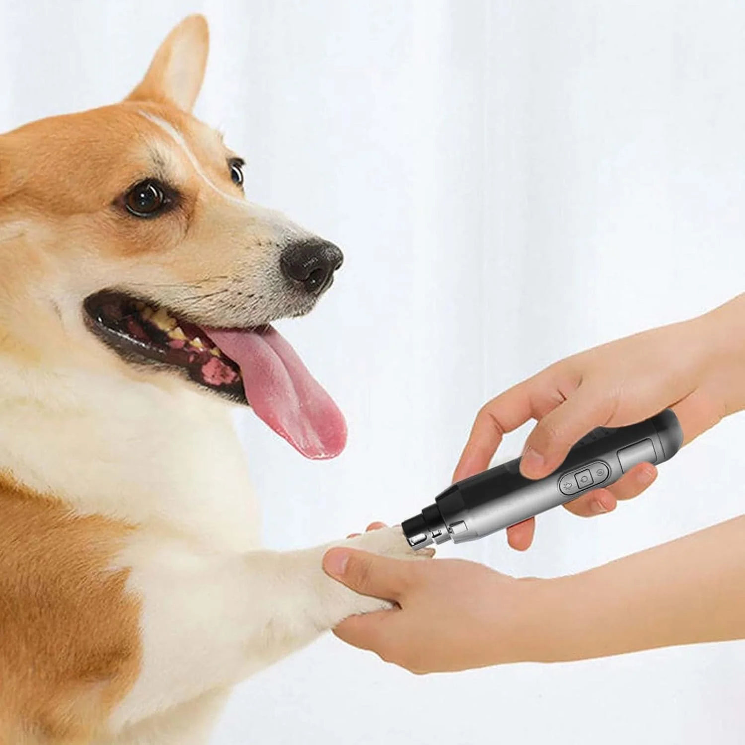 سوهان ناخن برقی سگ - سوهان ناخن توله سگ | ابزار برقی یو اس بی قابل شارژ و بی صدا با 5 سرعت برای مراقبت از ناخن پنجه گربه سگ و نظافت حیوانات خانگی سوهان ناخن برقی سگ - سوهان ناخن توله سگ | ابزار برقی یو اس بی قابل شارژ و بی صدا با 5 سرعت برای مراقبت از ناخن پنجه گربه سگ و نظافت حیوانات خانگی