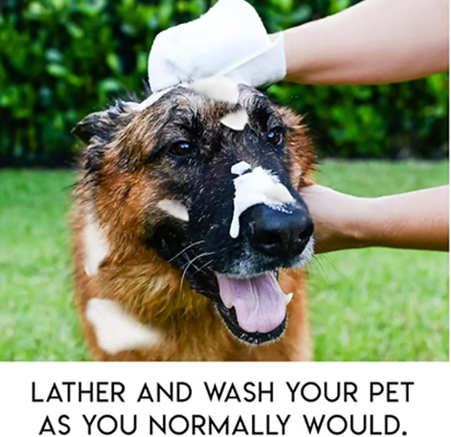 دستمال مرطوب دستکشی حیوانات خانگی، دستکش های شستشوی گربه 3 عددی - دستکش های تمیز کننده قابل حمل لوازم حیوانات خانگی برای نگهداری روزانه موی بدن صورت چشم پنجه گوش حمام بچه گربه دستمال مرطوب دستکشی حیوانات خانگی، دستکش های شستشوی گربه 3 عددی - دستکش های تمیز کننده قابل حمل لوازم حیوانات خانگی برای نگهداری روزانه موی بدن صورت چشم پنجه گوش حمام بچه گربه