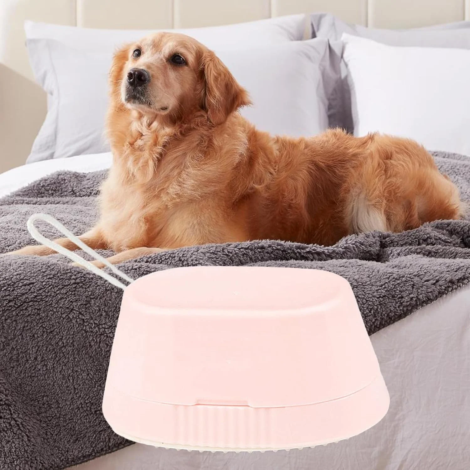 غلتک پرزگیر حیوانات خانگی | ابزار تمیز کننده گرد و غبار موی حیوانات خانگی قابل حمل برای رختخواب مبل فرش لباس سگ گربه صندلی ماشین غلتک پرزگیر حیوانات خانگی | ابزار تمیز کننده گرد و غبار موی حیوانات خانگی قابل حمل برای رختخواب مبل فرش لباس سگ گربه صندلی ماشین