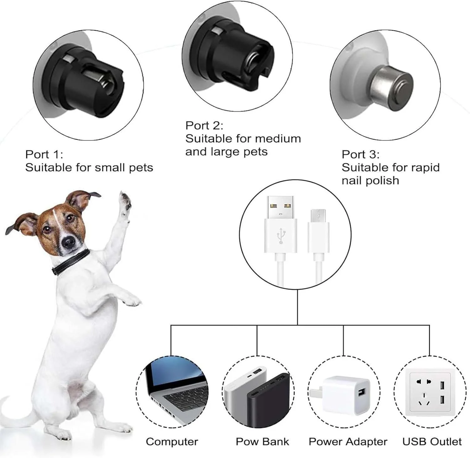 سوهان ناخن حیوانات خانگی برای سگ ها با 3 سرعت - ابزار اصلاح و صاف کردن پنجه های حیوانات خانگی بدون درد | ابزار اصلاح ناخن سگ بی سیم با چراغ LED برای پدیکور و مانیکور در خانه برای بچه گربه، گربه و توله سگ سوهان ناخن حیوانات خانگی برای سگ ها با 3 سرعت - ابزار اصلاح و صاف کردن پنجه های حیوانات خانگی بدون درد | ابزار اصلاح ناخن سگ بی سیم با چراغ LED برای پدیکور و مانیکور در خانه برای بچه گربه، گربه و توله سگ