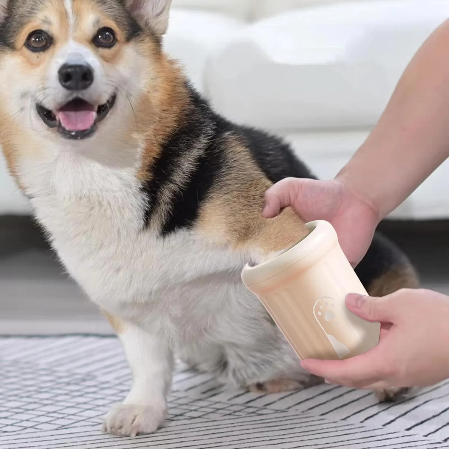 تمیز کننده پنجه سگ - فنجان شستشوی پای توله سگ | فنجان تمیز کننده پنجه سگ برای حیوانات خانگی گربه های کوچک متوسط توله سگ ها شستشو مسافرت کمپینگ سفرهای جاده ای تمیز کننده پنجه سگ - فنجان شستشوی پای توله سگ | فنجان تمیز کننده پنجه سگ برای حیوانات خانگی گربه های کوچک متوسط توله سگ ها شستشو مسافرت کمپینگ سفرهای جاده ای