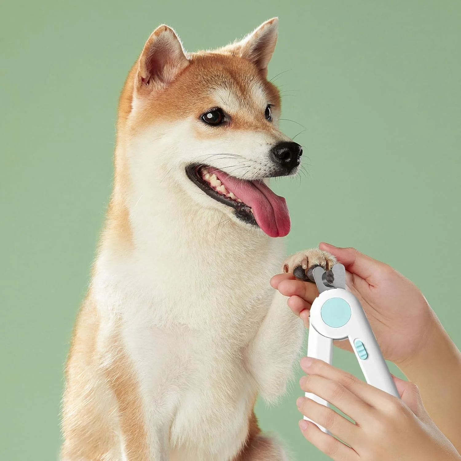 ناخن گیر گربه - ناخن گیر توله سگ با چراغ - ابزار صاف کننده و آرایش ناخن حیوانات خانگی برای حیوانات کوچک، پرندگان، بچه گربه ها، استفاده در منزل ناخن گیر گربه - ناخن گیر توله سگ با چراغ - ابزار صاف کننده و آرایش ناخن حیوانات خانگی برای حیوانات کوچک، پرندگان، بچه گربه ها، استفاده در منزل