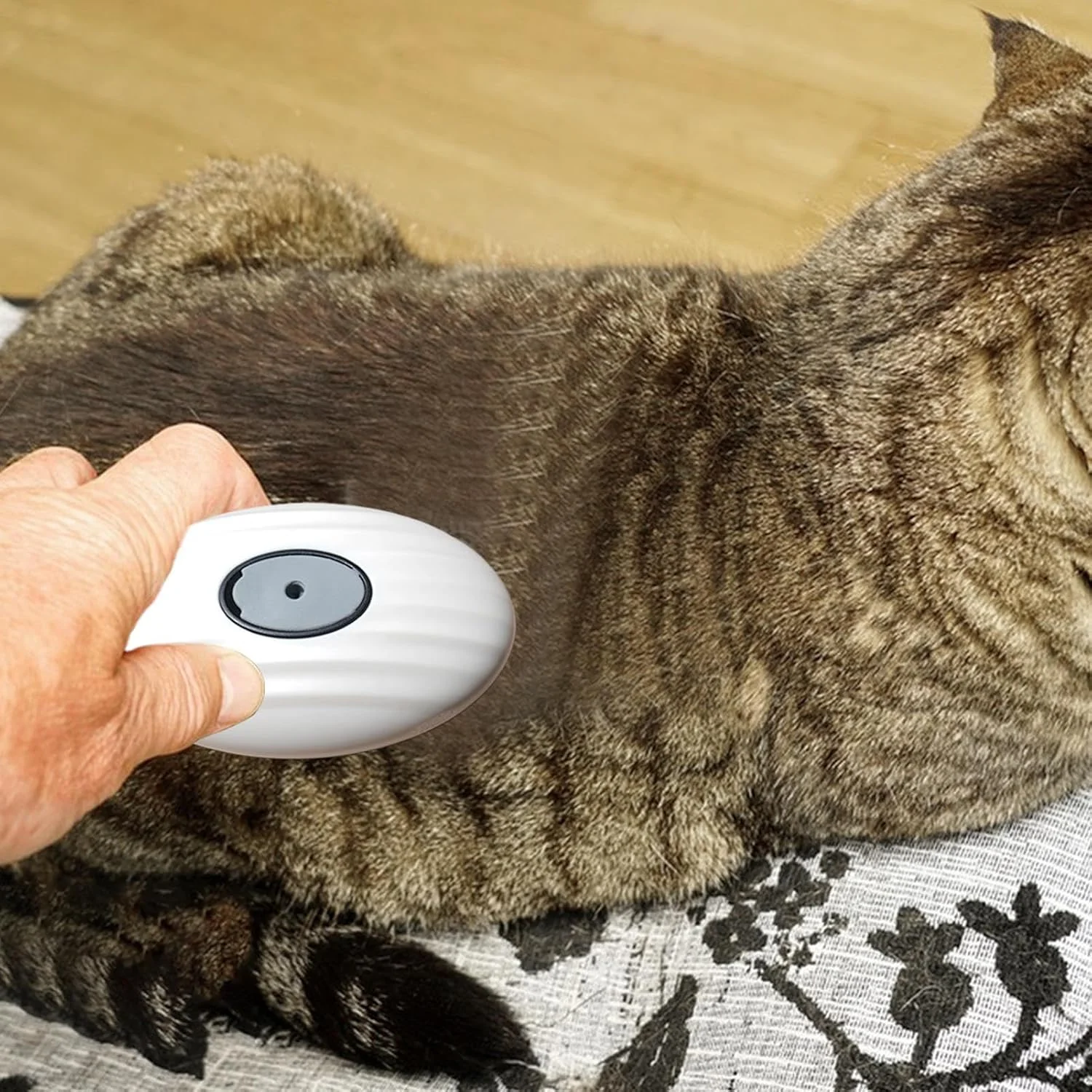 شانه نظافت گربه - برس ریزش موی سگ با قابلیت جدا شدن - برس شانه نرم برای تمیز کردن داخلی توله سگ، جزئیات منزل، حمام بچه گربه، حیوانات کوچک شانه نظافت گربه - برس ریزش موی سگ با قابلیت جدا شدن - برس شانه نرم برای تمیز کردن داخلی توله سگ، جزئیات منزل، حمام بچه گربه، حیوانات کوچک