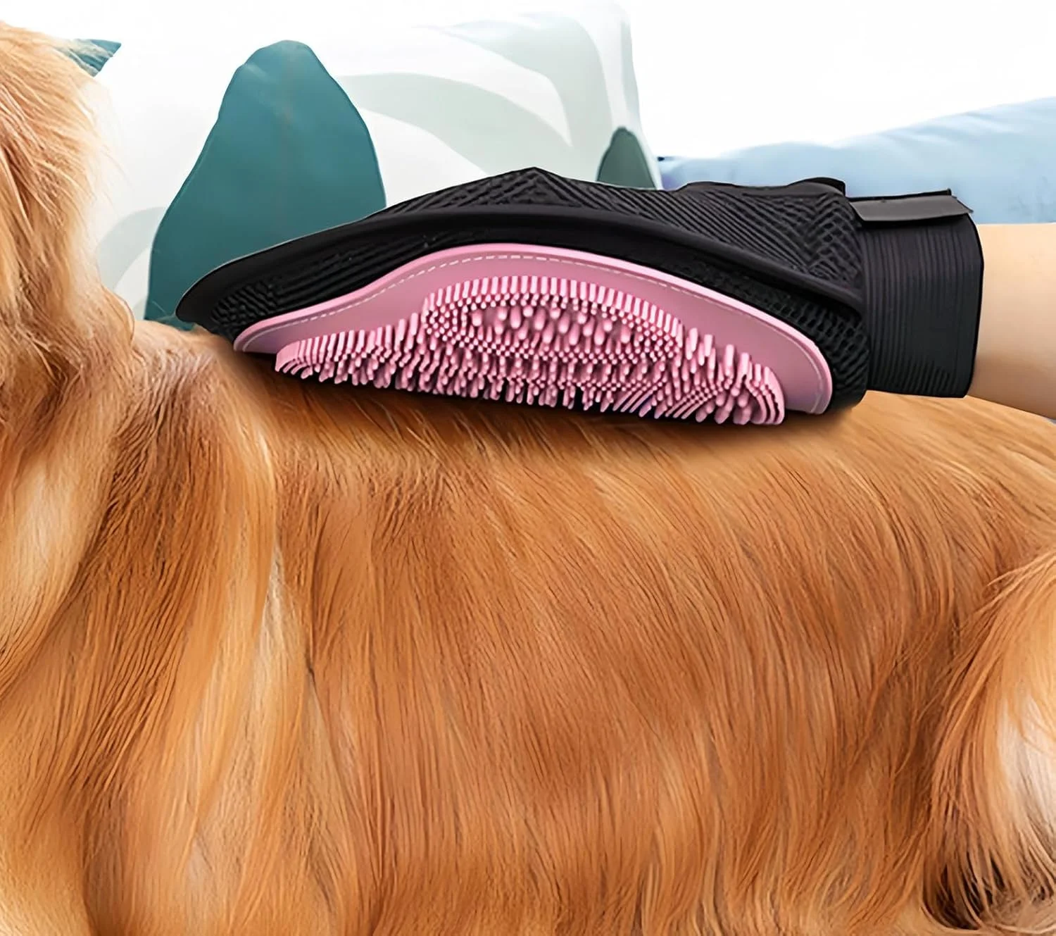 برس حمام سگ - برس شستشوی حیوانات خانگی | دستکش شستشوی توله سگ برای گربه ها، سگ ها، بچه گربه ها، آپارتمان های داخلی، حمام، استخر روباز برس حمام سگ - برس شستشوی حیوانات خانگی | دستکش شستشوی توله سگ برای گربه ها، سگ ها، بچه گربه ها، آپارتمان های داخلی، حمام، استخر روباز