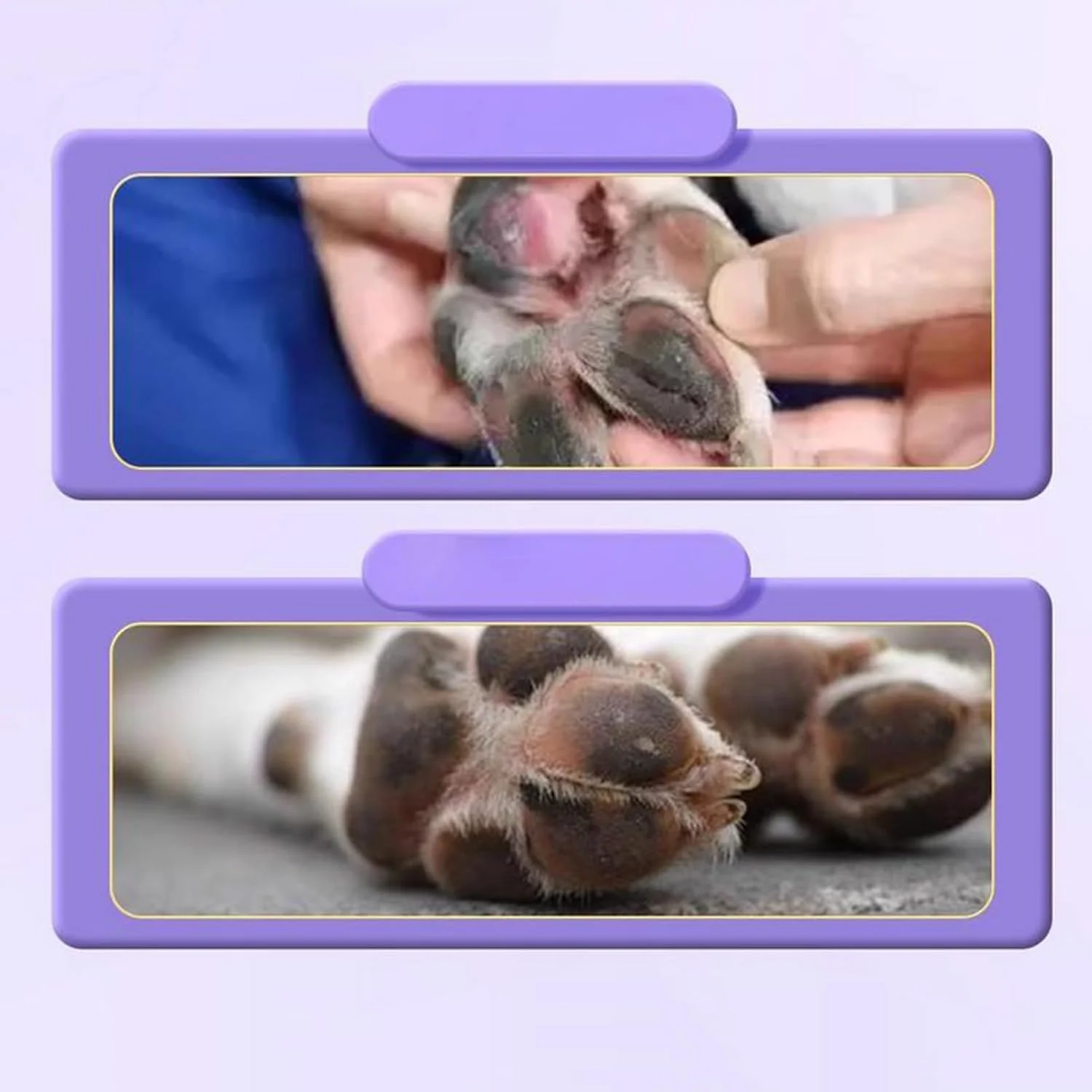 بالم پا برای حیوانات خانگی | بالم مغذی پا برای سگ ها | لوسیون 7.5 گرمی با جذب سریع، راه حل مراقبت از پوست برای حیوانات نژاد کوچک، متوسط و بزرگ، بچه گربه و توله سگ بالم پا برای حیوانات خانگی | بالم مغذی پا برای سگ ها | لوسیون 7.5 گرمی با جذب سریع، راه حل مراقبت از پوست برای حیوانات نژاد کوچک، متوسط و بزرگ، بچه گربه و توله سگ