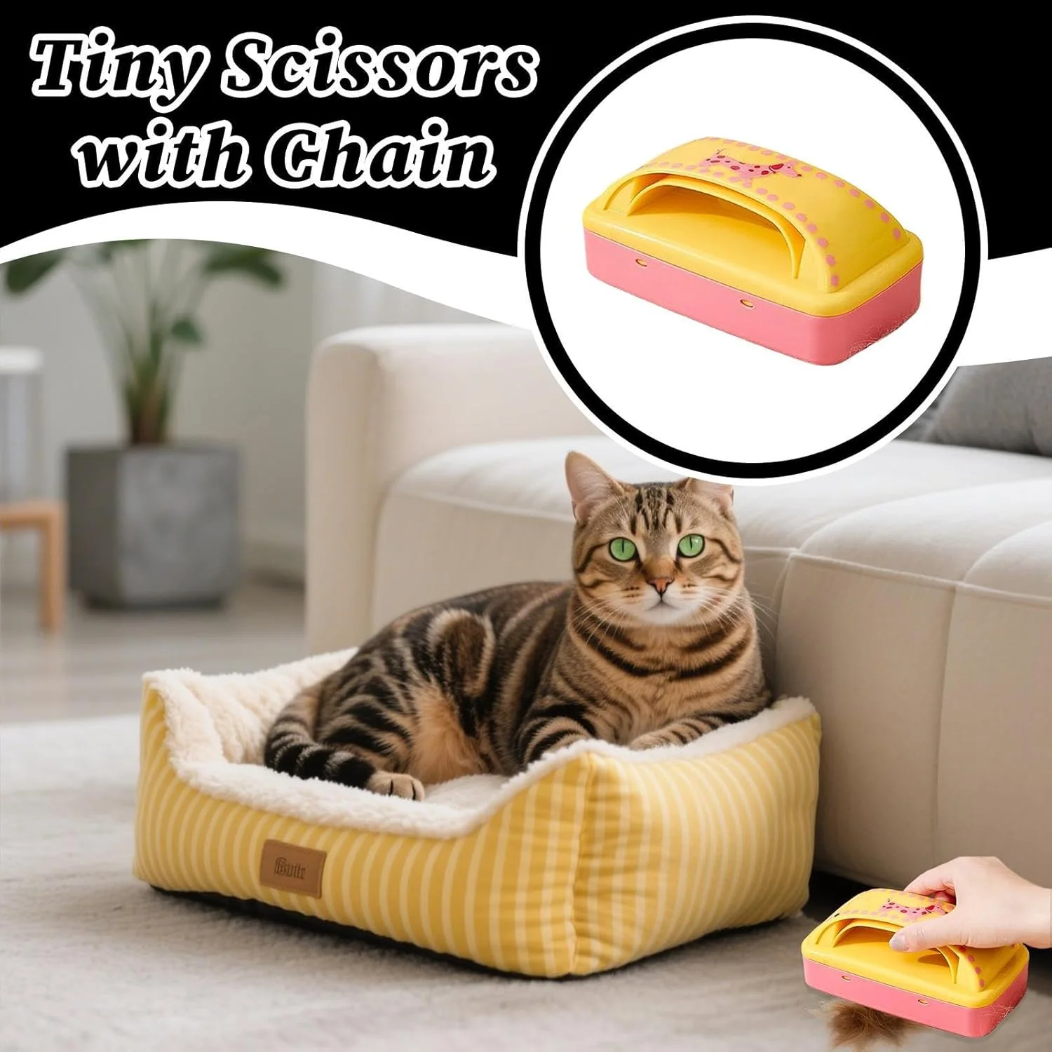 از بین برنده موی حیوانات خانگی برای لباسشویی، برس گرد و غبار و پرز برای لباس - ابزار تمیز کننده قابل استفاده مجدد برای مبل پارچه ای، فرش، لباس، ژاکت و مبلمان سگ و گربه از بین برنده موی حیوانات خانگی برای لباسشویی، برس گرد و غبار و پرز برای لباس - ابزار تمیز کننده قابل استفاده مجدد برای مبل پارچه ای، فرش، لباس، ژاکت و مبلمان سگ و گربه