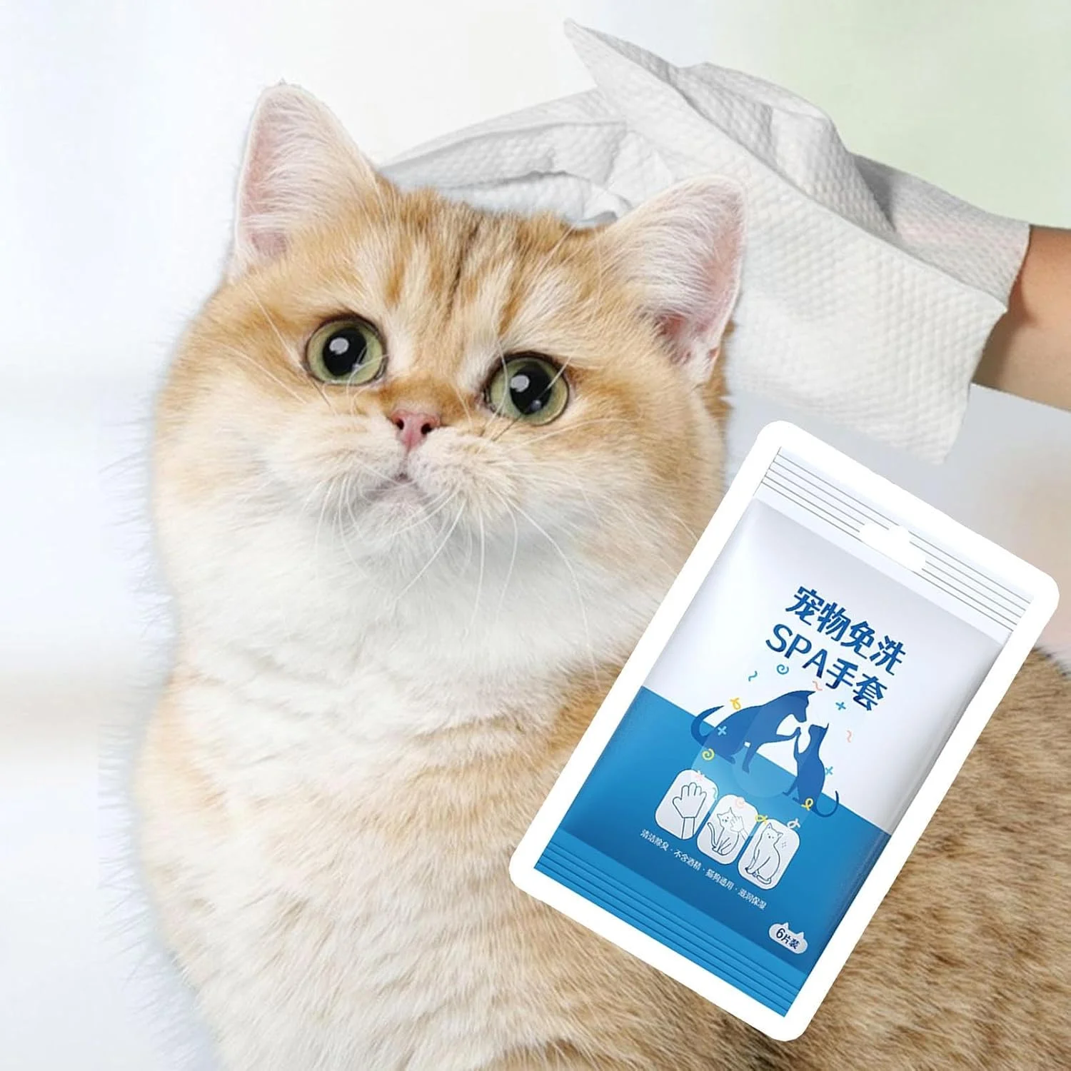 دستمال مرطوب دستکشی سگ | دستمال مرطوب خشک کننده و خوشبو کننده حیوانات خانگی، دستکش تمیز کننده سگ بدون نیاز به آبکشی قابل حمل برای پیاده روی، کمپینگ، مسافرت، ماشین، حیوانات مسن، توله سگ ها، بچه گربه ها، خرگوش ها دستمال مرطوب دستکشی سگ | دستمال مرطوب خشک کننده و خوشبو کننده حیوانات خانگی، دستکش تمیز کننده سگ بدون نیاز به آبکشی قابل حمل برای پیاده روی، کمپینگ، مسافرت، ماشین، حیوانات مسن، توله سگ ها، بچه گربه ها، خرگوش ها