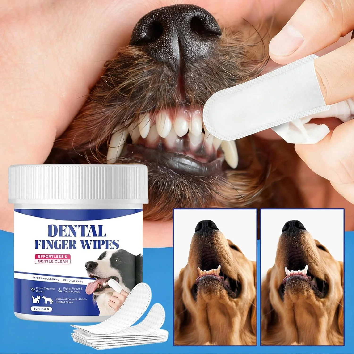 دستمال مرطوب تمیز کننده دندان سگ | ابزار نظافت حرفه ای 50 عددی - دستمال انگشتی تمیز کننده دندان حیوانات خانگی، برای توله سگ، گربه، بهداشت دهان و دندان نژادهای کوچک، متوسط و بزرگ، مناسب برای مسافرت و استفاده در منزل دستمال مرطوب تمیز کننده دندان سگ | ابزار نظافت حرفه ای 50 عددی - دستمال انگشتی تمیز کننده دندان حیوانات خانگی، برای توله سگ، گربه، بهداشت دهان و دندان نژادهای کوچک، متوسط و بزرگ، مناسب برای مسافرت و استفاده در منزل