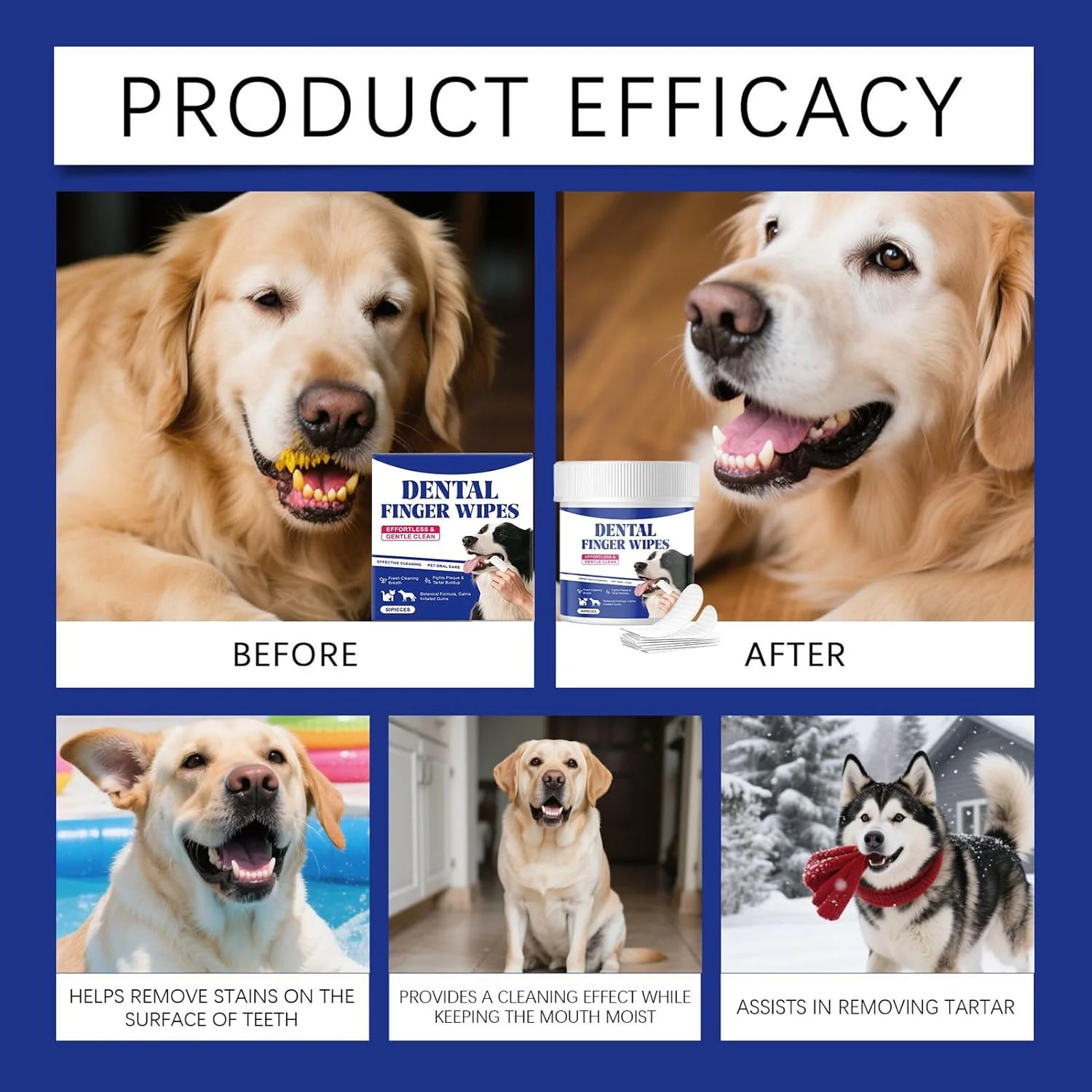 دستمال مرطوب دندان سگ - ابزار نظافت حرفه ای 50 عددی - دستمال مرطوب انگشتی تمیز کننده دندان حیوانات خانگی | برای توله سگ، گربه، نژادهای کوچک، متوسط و بزرگ، بهداشت و مراقبت های بهداشتی در سفر و داخل خانه دستمال مرطوب دندان سگ - ابزار نظافت حرفه ای 50 عددی - دستمال مرطوب انگشتی تمیز کننده دندان حیوانات خانگی | برای توله سگ، گربه، نژادهای کوچک، متوسط و بزرگ، بهداشت و مراقبت های بهداشتی در سفر و داخل خانه