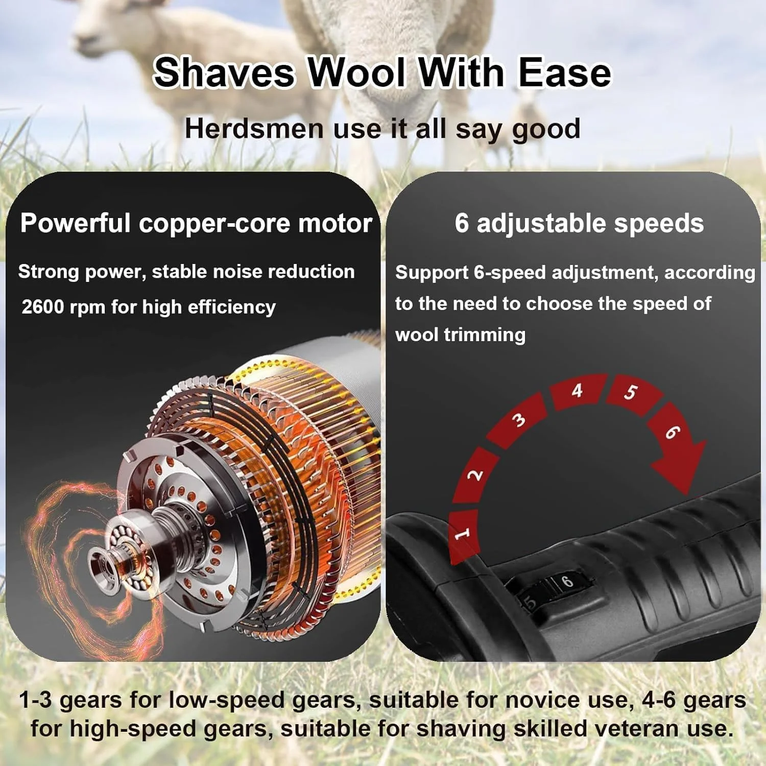 ماشین پشم زنی گوسفند GearZone با باتری ارتقا یافته 1000 وات، ماشین اصلاح برقی حرفه ای گوسفند، کیت پیرایش دام مزرعه، 6 سرعته سنگین برای گوسفند، گاو، بز یا سایر حیوانات با پوشش ضخیم - مشکی ماشین پشم زنی گوسفند GearZone با باتری ارتقا یافته 1000 وات، ماشین اصلاح برقی حرفه ای گوسفند، کیت پیرایش دام مزرعه، 6 سرعته سنگین برای گوسفند، گاو، بز یا سایر حیوانات با پوشش ضخیم - مشکی