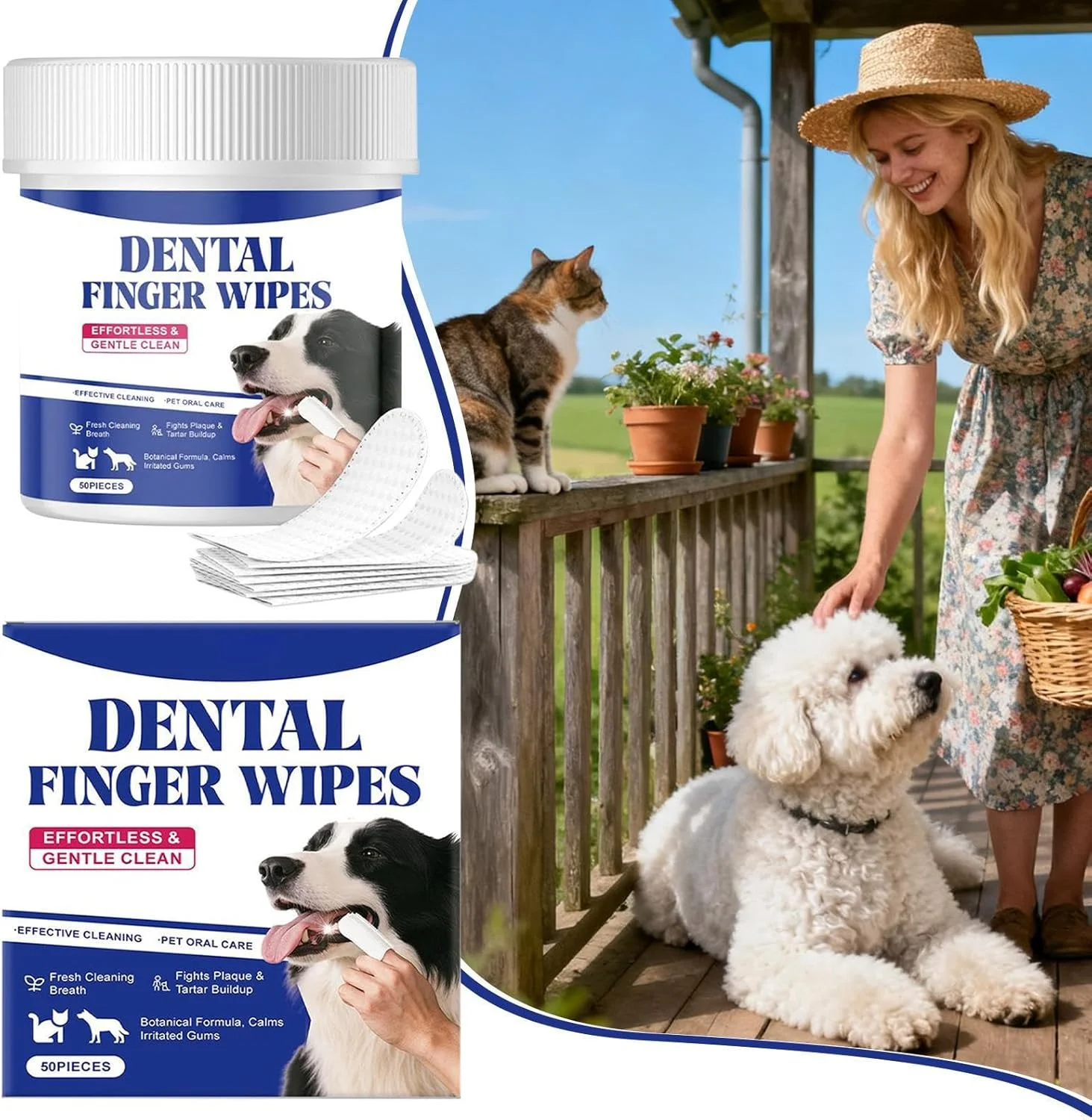 دستمال مرطوب دندان سگ، 50 عدد ابزار نظافت ملایم - دستمال مرطوب انگشتی تمیز کننده مراقبت از دندان توله سگ | برای نظافت بهداشت دهان و دندان سگ و توله سگ، مسافرت های داخلی و استفاده روزانه دستمال مرطوب دندان سگ، 50 عدد ابزار نظافت ملایم - دستمال مرطوب انگشتی تمیز کننده مراقبت از دندان توله سگ | برای نظافت بهداشت دهان و دندان سگ و توله سگ، مسافرت های داخلی و استفاده روزانه