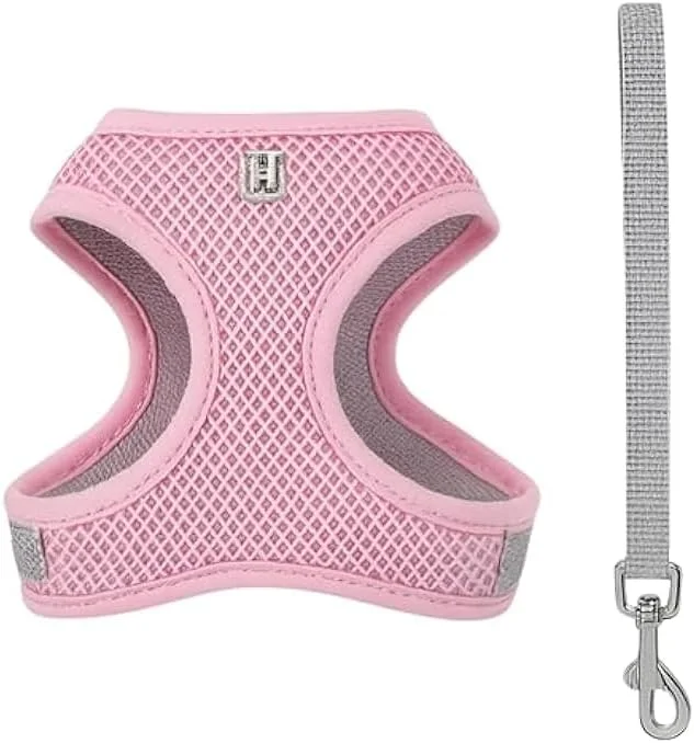 ست قلاده و بند قلاده حیوانات خانگی کوچک فیتو سایز S، 17x13.5 سانتی متر - قلاده سبک و قابل تنظیم برای سگ ها، گربه ها و توله سگ های کوچک ست قلاده و بند قلاده حیوانات خانگی کوچک فیتو سایز S، 17x13.5 سانتی متر - قلاده سبک و قابل تنظیم برای سگ ها، گربه ها و توله سگ های کوچک