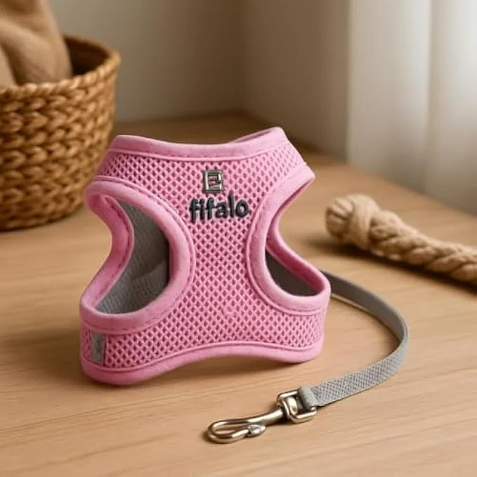 ست قلاده و بند قلاده حیوانات خانگی کوچک فیتو سایز S، 17x13.5 سانتی متر - قلاده سبک و قابل تنظیم برای سگ ها، گربه ها و توله سگ های کوچک ست قلاده و بند قلاده حیوانات خانگی کوچک فیتو سایز S، 17x13.5 سانتی متر - قلاده سبک و قابل تنظیم برای سگ ها، گربه ها و توله سگ های کوچک