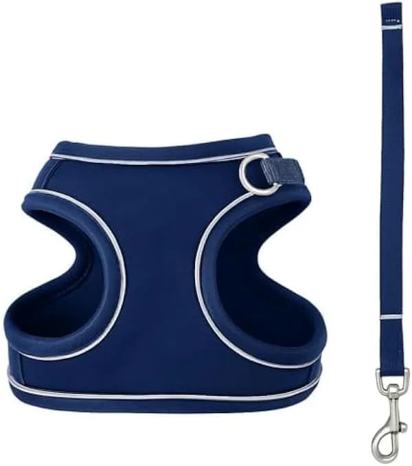 ست قلاده و بند قلاده حیوانات خانگی کوچک فیتو سایز S، 11.3x7 سانتی متر، قلاده نایلونی قابل تنظیم و بند برای سگ های کوچک، توله سگ ها و گربه ها ست قلاده و بند قلاده حیوانات خانگی کوچک فیتو سایز S، 11.3x7 سانتی متر، قلاده نایلونی قابل تنظیم و بند برای سگ های کوچک، توله سگ ها و گربه ها