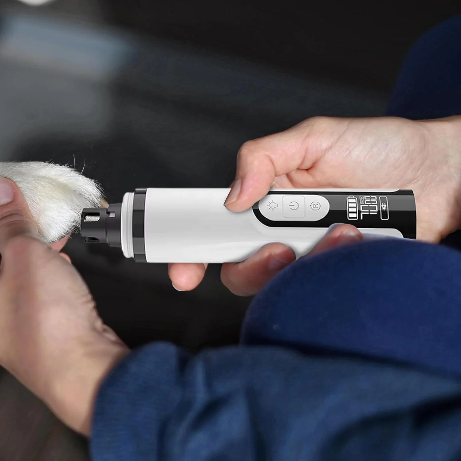 سوهان ناخن سگ بی صدا با 3 سرعت | ناخن گیر برقی شارژی بی صدا برای حیوانات خانگی، ابزار اصلاح ناخن پنجه سگ بی سیم با چراغ LED برای پدیکور و مانیکور در خانه برای بچه گربه و توله سگ سوهان ناخن سگ بی صدا با 3 سرعت | ناخن گیر برقی شارژی بی صدا برای حیوانات خانگی، ابزار اصلاح ناخن پنجه سگ بی سیم با چراغ LED برای پدیکور و مانیکور در خانه برای بچه گربه و توله سگ