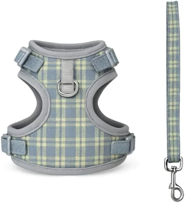 ست قلاده و بند حیوانات خانگی کوچک فیتو سایز XXXS، 14.5x11.5 سانتی متر - جلیقه نرم قابل تنظیم با بند برای همستر، خوکچه هندی، راسو، خرگوش ست قلاده و بند حیوانات خانگی کوچک فیتو سایز XXXS، 14.5x11.5 سانتی متر - جلیقه نرم قابل تنظیم با بند برای همستر، خوکچه هندی، راسو، خرگوش