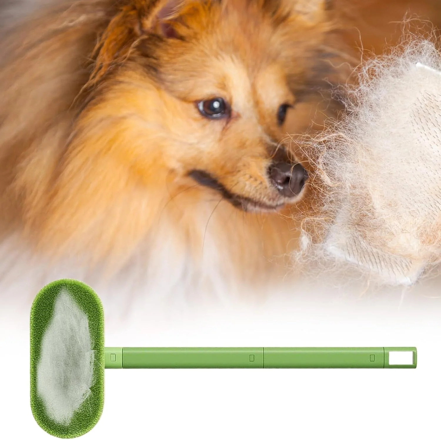 برس موی گربه، برس موی سگ و گربه برای مبل - برس پرزگیر دسته بلند، لوازم نظافت برای پارچه، کف، مبل، تخت، فرش، آپارتمان، حصیر، شستشوی لباس و تمیز کردن مبلمان برس موی گربه، برس موی سگ و گربه برای مبل - برس پرزگیر دسته بلند، لوازم نظافت برای پارچه، کف، مبل، تخت، فرش، آپارتمان، حصیر، شستشوی لباس و تمیز کردن مبلمان