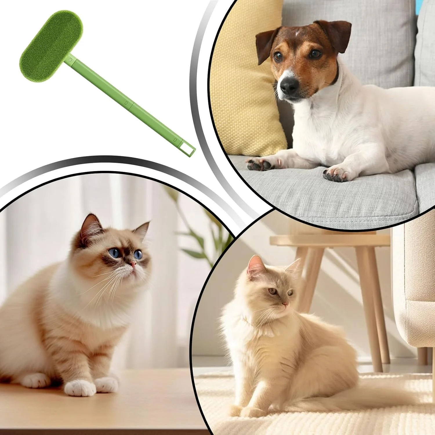 برس موی گربه، برس موی سگ و گربه برای مبل - برس پرزگیر دسته بلند، لوازم نظافت برای پارچه، کف، مبل، تخت، فرش، آپارتمان، حصیر، شستشوی لباس و تمیز کردن مبلمان برس موی گربه، برس موی سگ و گربه برای مبل - برس پرزگیر دسته بلند، لوازم نظافت برای پارچه، کف، مبل، تخت، فرش، آپارتمان، حصیر، شستشوی لباس و تمیز کردن مبلمان