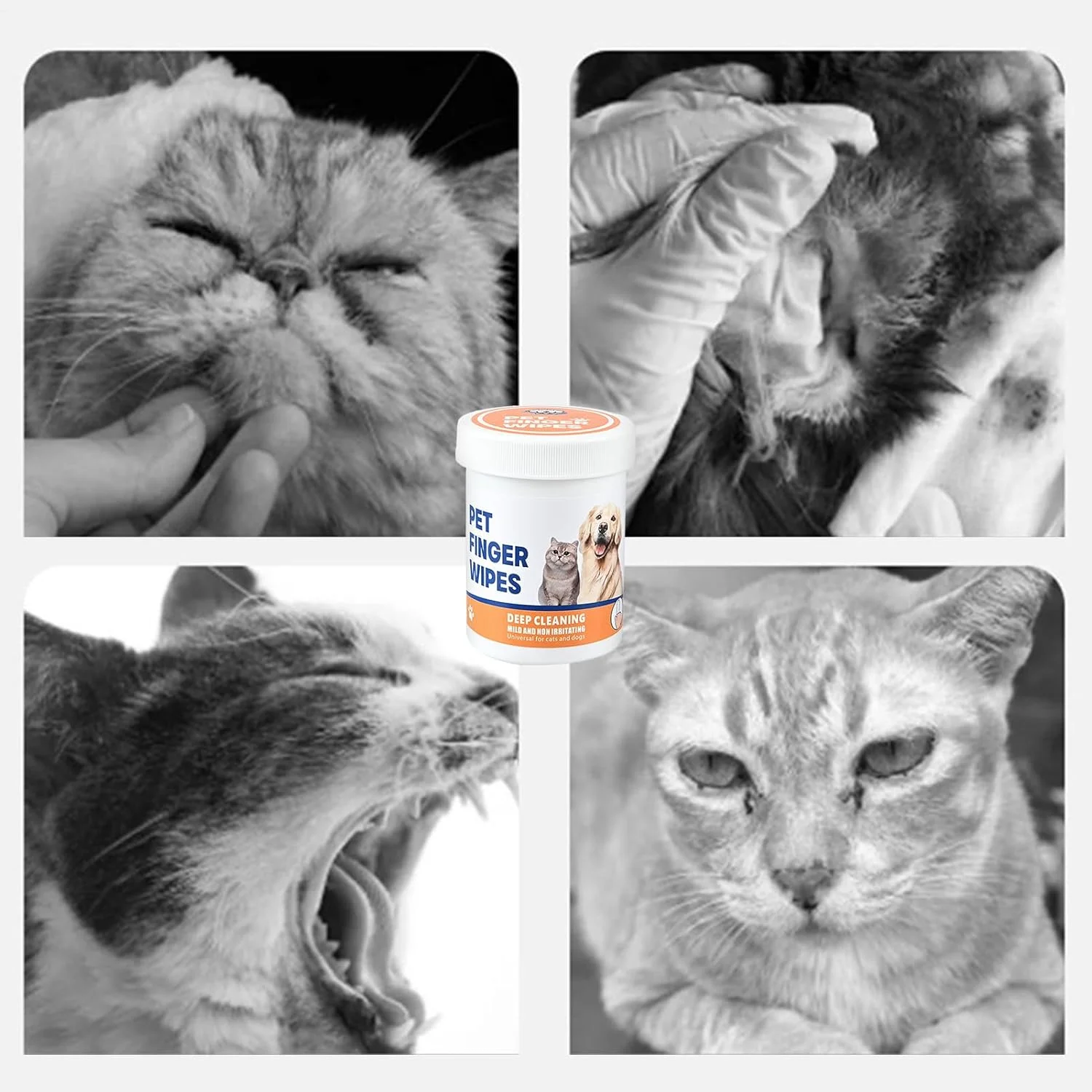 دستمال مرطوب انگشتی تمیز کننده گوش حیوانات خانگی - دستمال مرطوب تمیز کننده گوش برای گربه ها، لوازم جانبی ایمن و ملایم برای تمیز کردن بچه گربه، توله سگ، گربه، نظافت حیوانات خانگی، حمام کردن در خانه دستمال مرطوب انگشتی تمیز کننده گوش حیوانات خانگی - دستمال مرطوب تمیز کننده گوش برای گربه ها، لوازم جانبی ایمن و ملایم برای تمیز کردن بچه گربه، توله سگ، گربه، نظافت حیوانات خانگی، حمام کردن در خانه