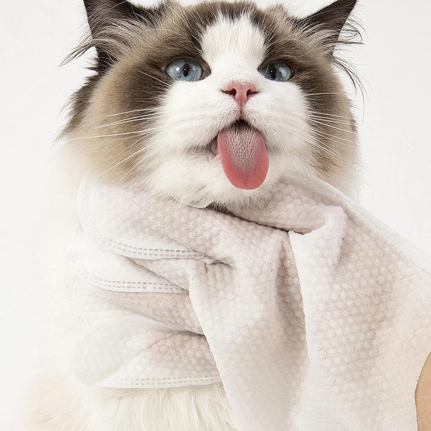 Pet Glove Wipes for Dogs - Outdoor Shedding Wipes | No Rinse Portable Cleaning Glove for Car Puppies Camping Kittens Walking Outdoor Bunnies Home Pet Glove Wipes for Dogs - Outdoor Shedding Wipes | No Rinse Portable Cleaning Glove for Car Puppies Camping Kittens Walking Outdoor Bunnies Home